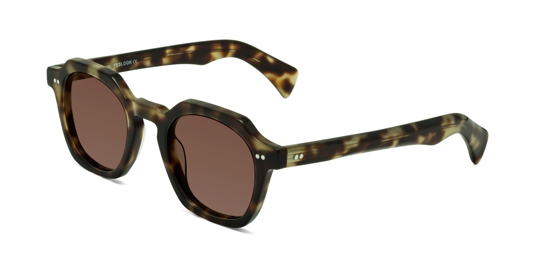 Angle of Beckett in Olive Tortoise with Brown Tinted Lenses