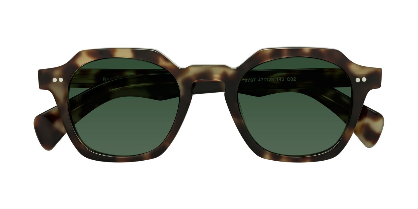 Beckett - Olive Tortoise Tinted Sunglasses
