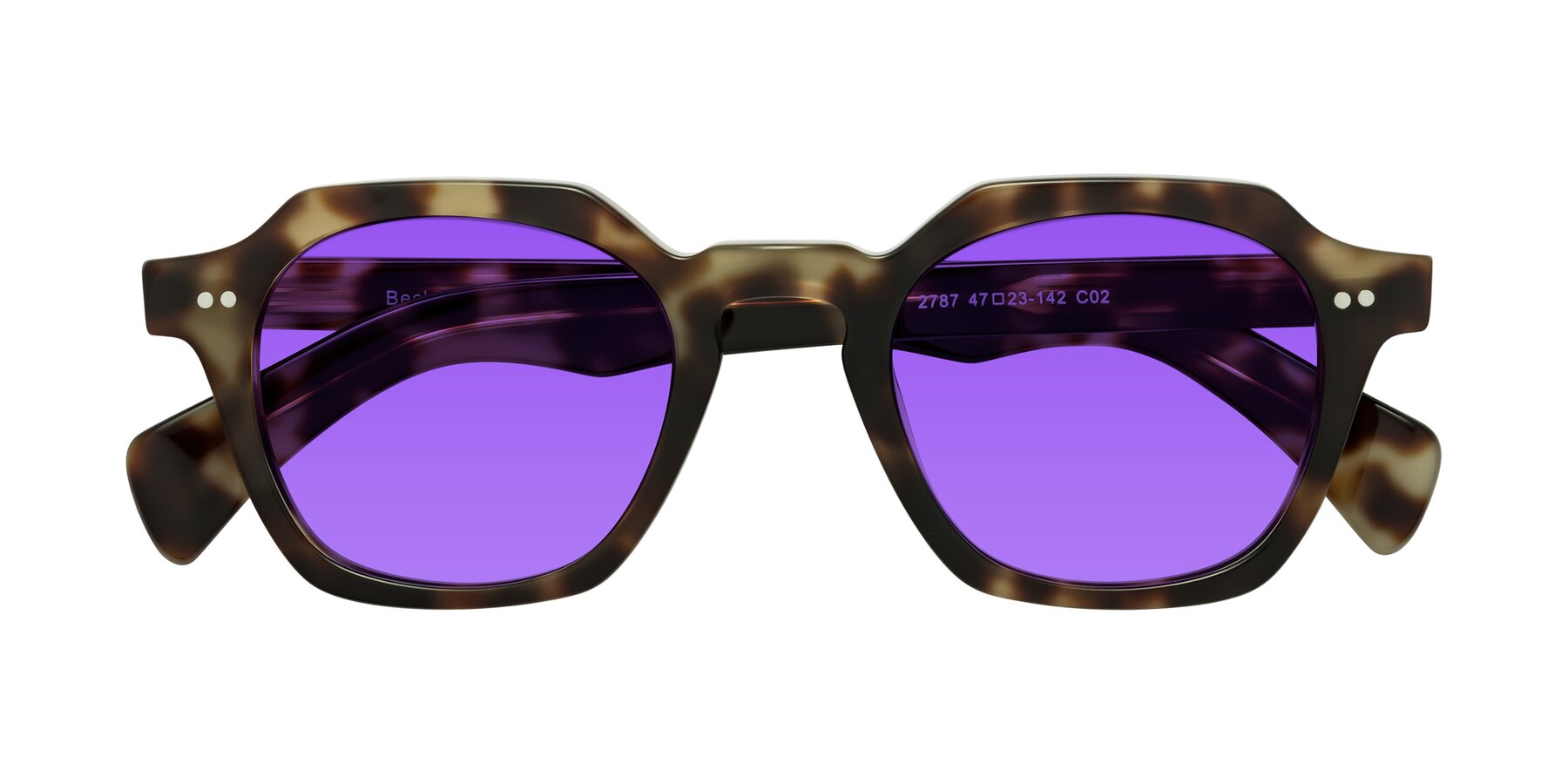 Folded Front of Beckett in Olive Tortoise with Purple Tinted Lenses
