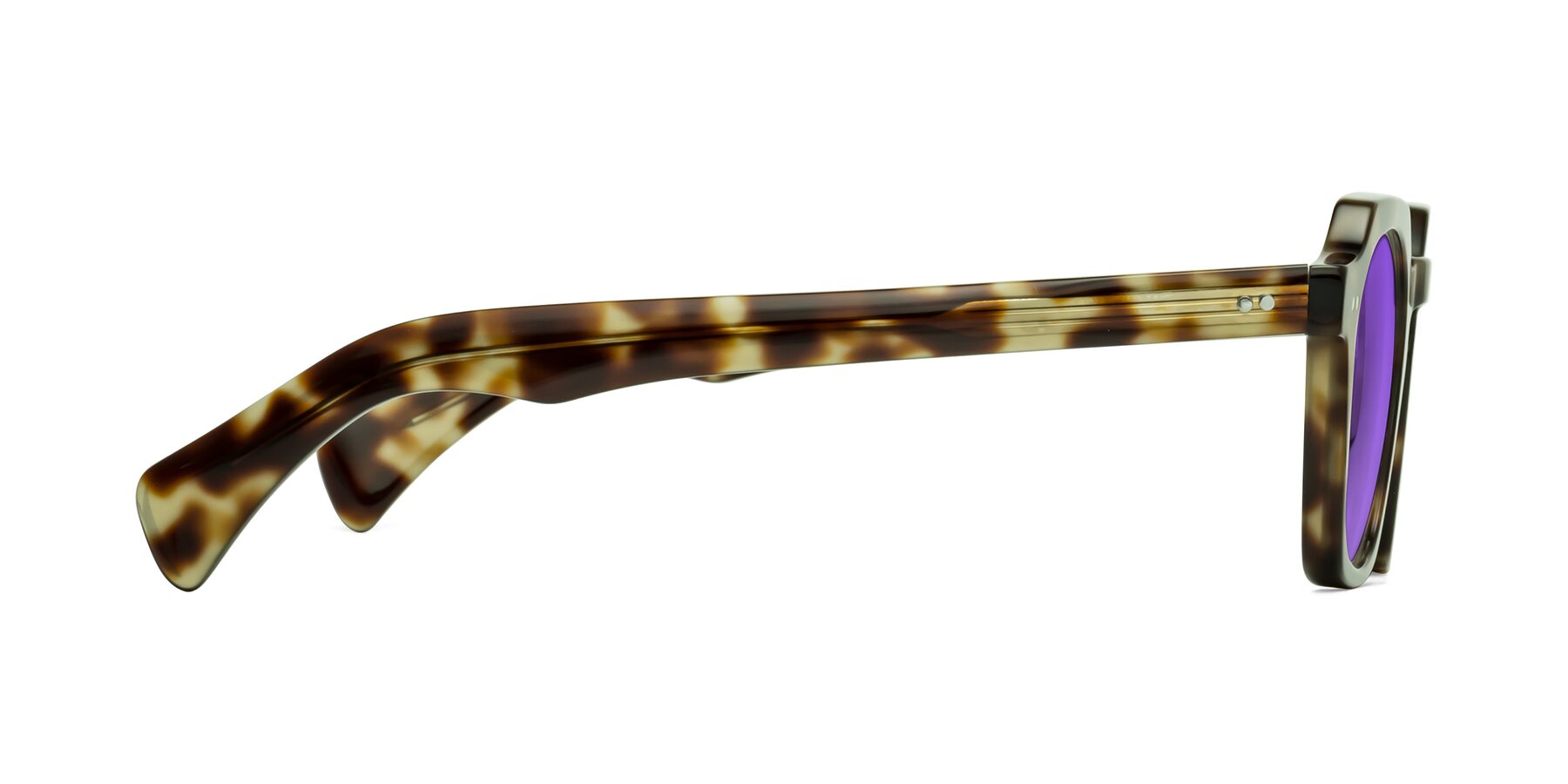 Side of Beckett in Olive Tortoise with Purple Tinted Lenses