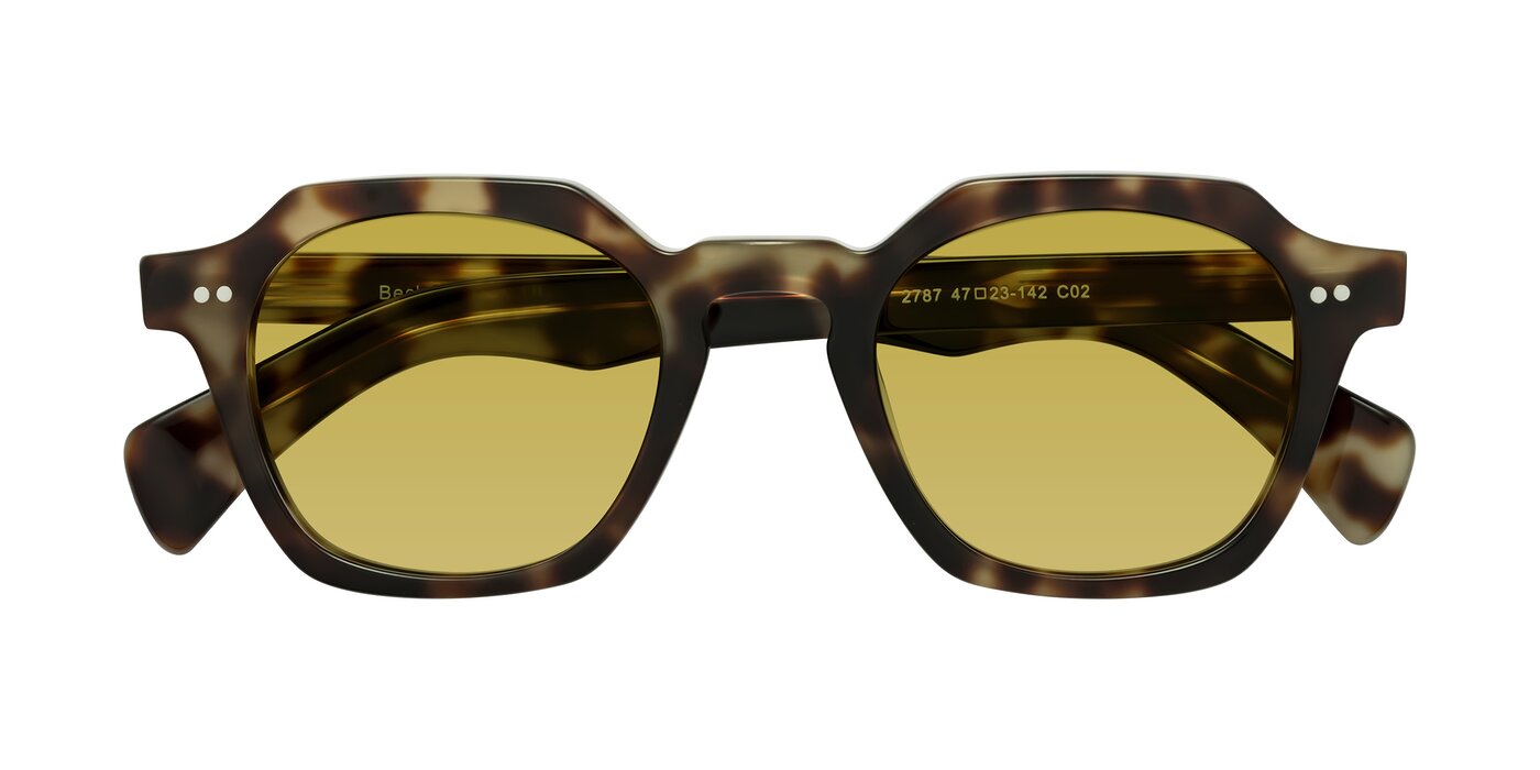 Beckett - Olive Tortoise Tinted Sunglasses