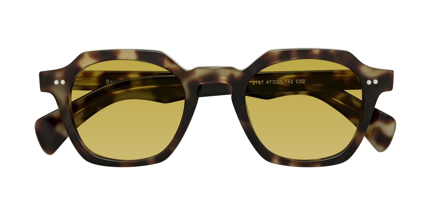 Folded Front of Beckett in Olive Tortoise with Champagne Tinted Lenses