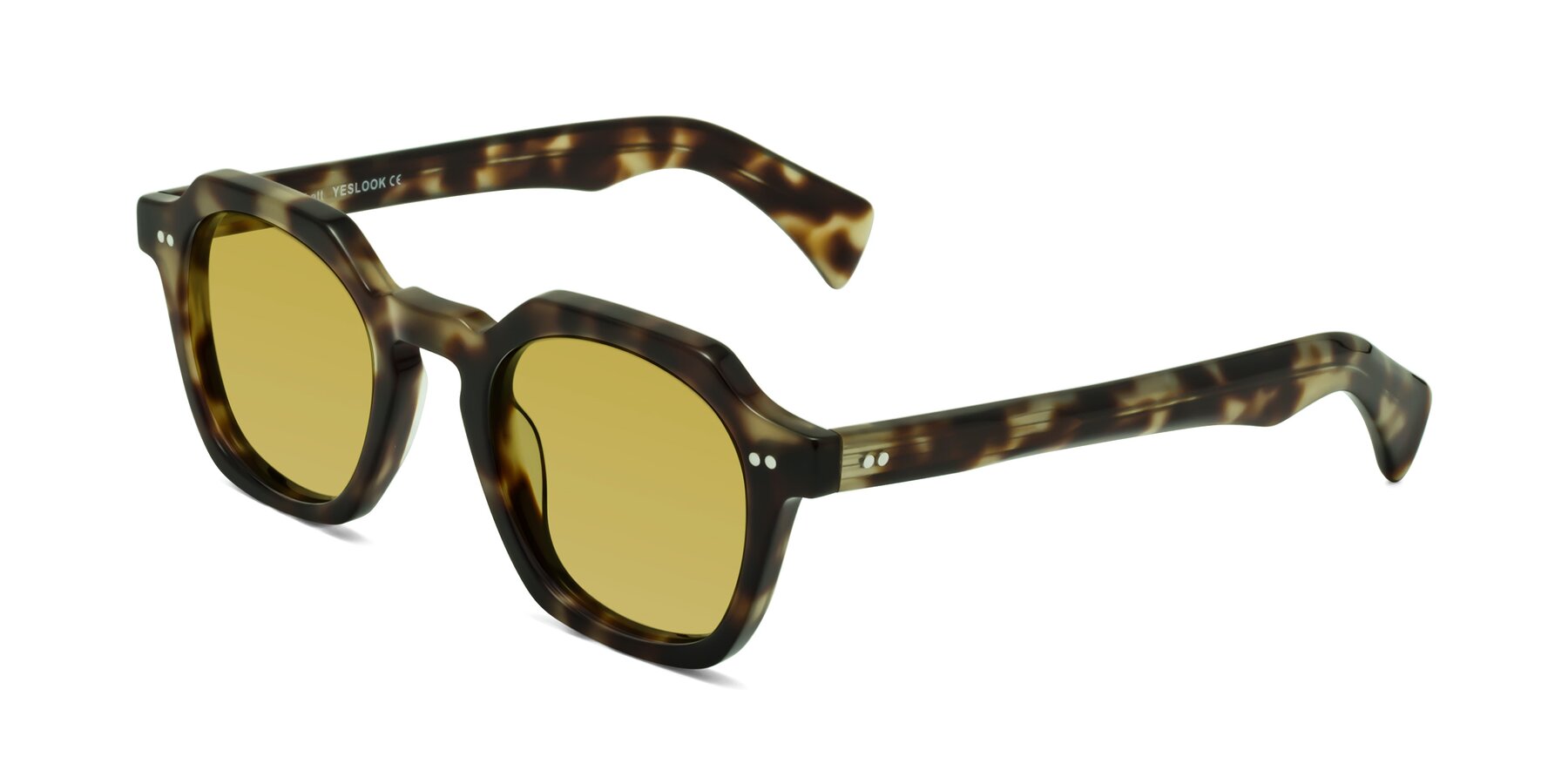 Angle of Beckett in Olive Tortoise with Champagne Tinted Lenses