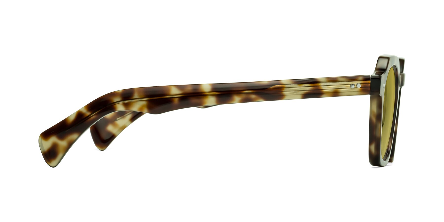 Side of Beckett in Olive Tortoise with Champagne Tinted Lenses