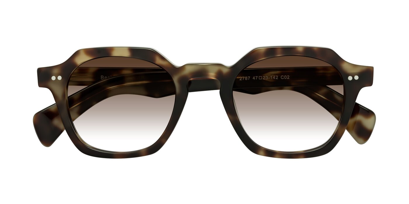 Beckett - Olive Tortoise Gradient Sunglasses