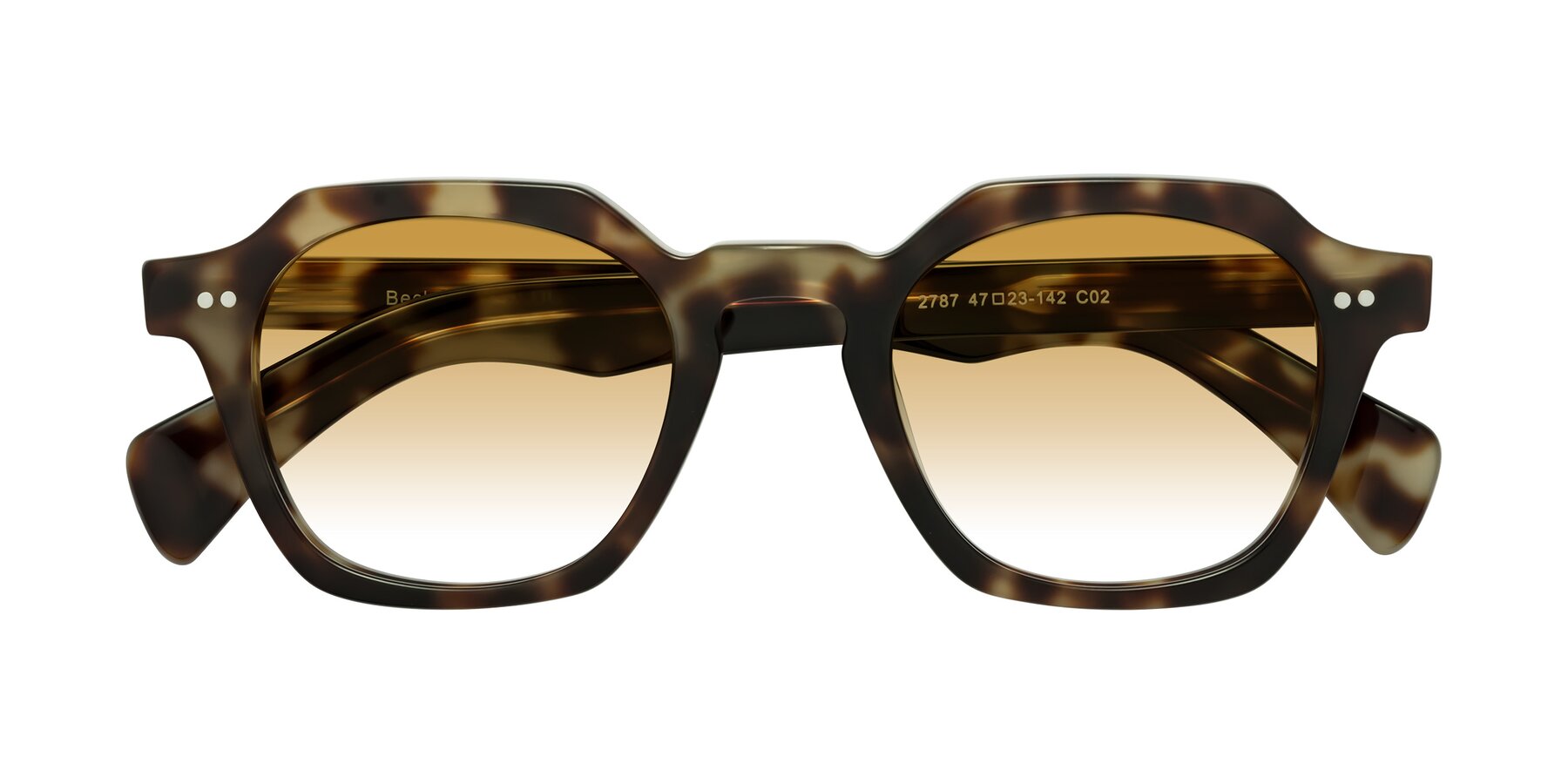 Folded Front of Beckett in Olive Tortoise with Champagne Gradient Lenses