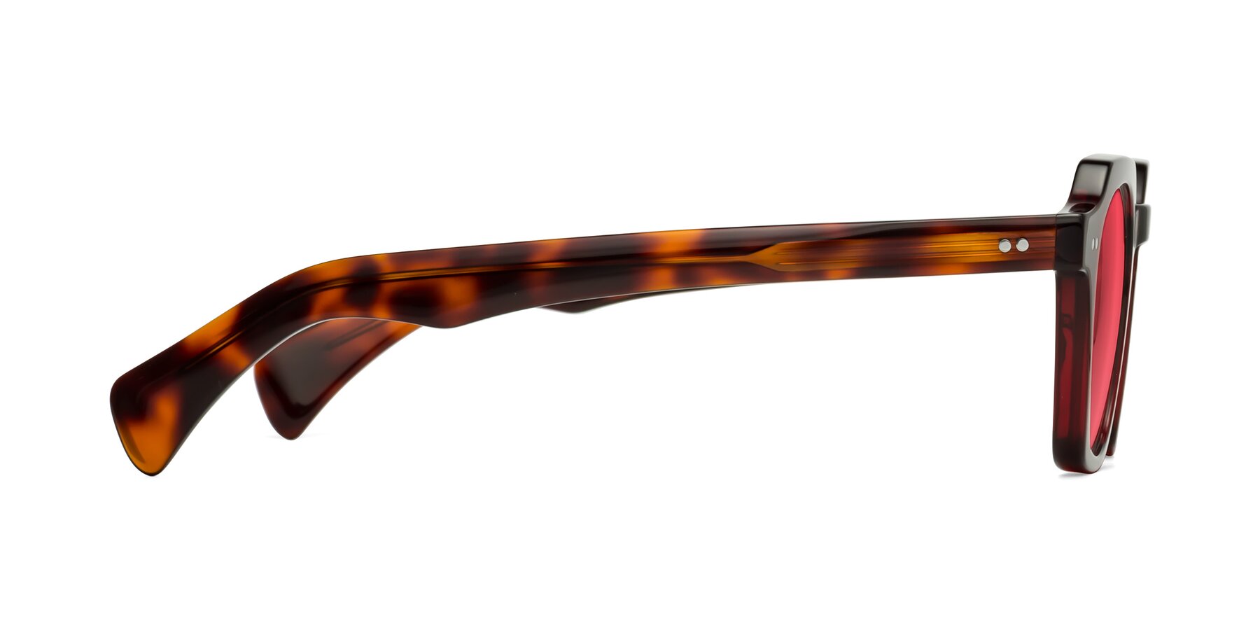 Side of Beckett in Wine/Tortoise with Red Tinted Lenses