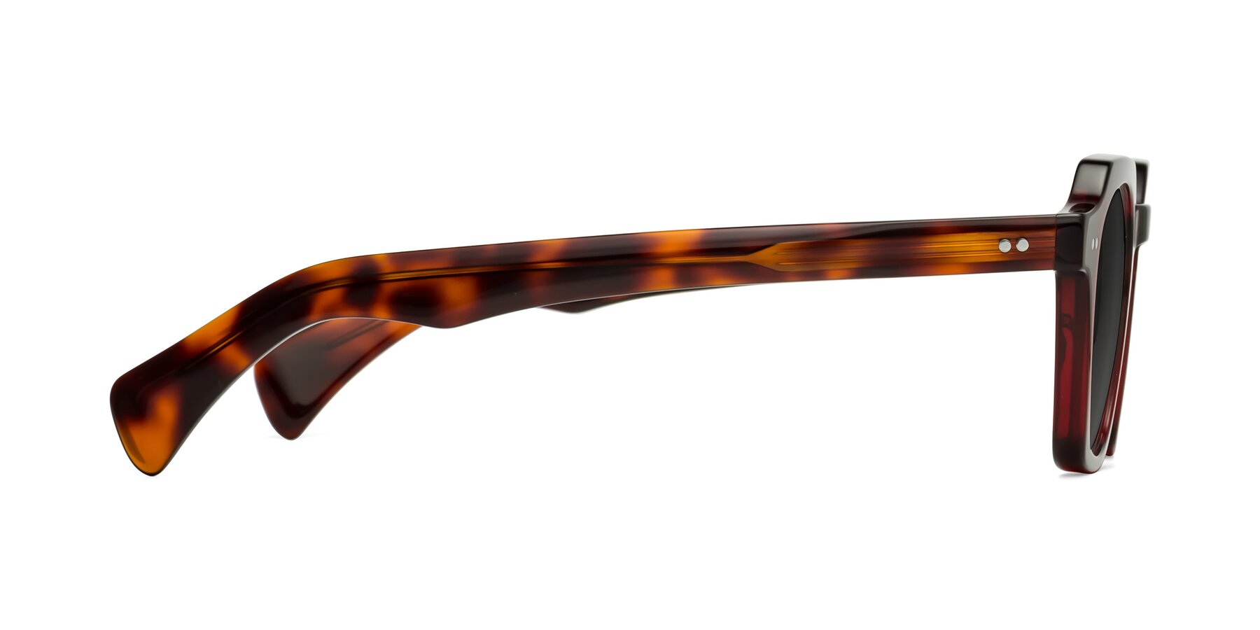Side of Beckett in Wine/Tortoise with Gray Tinted Lenses