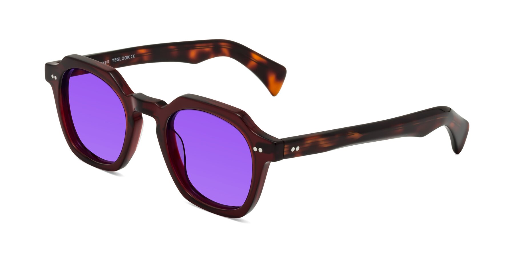 Angle of Beckett in Wine/Tortoise with Purple Tinted Lenses