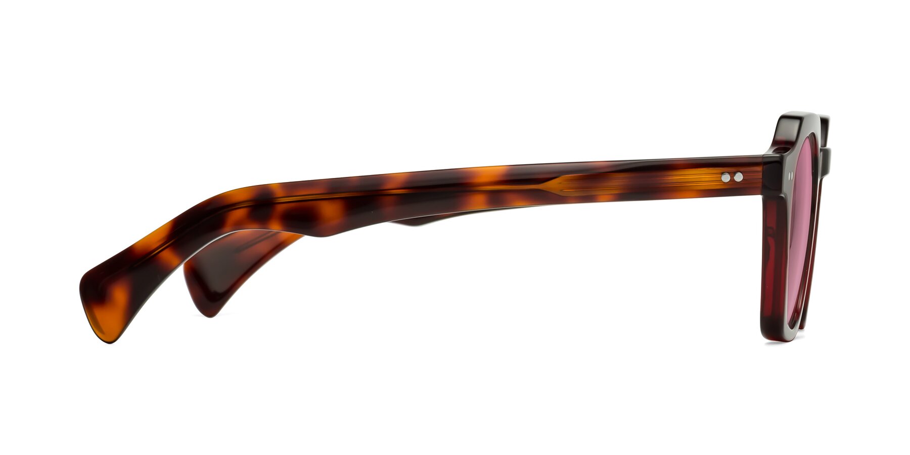 Side of Beckett in Wine/Tortoise with Medium Wine Tinted Lenses