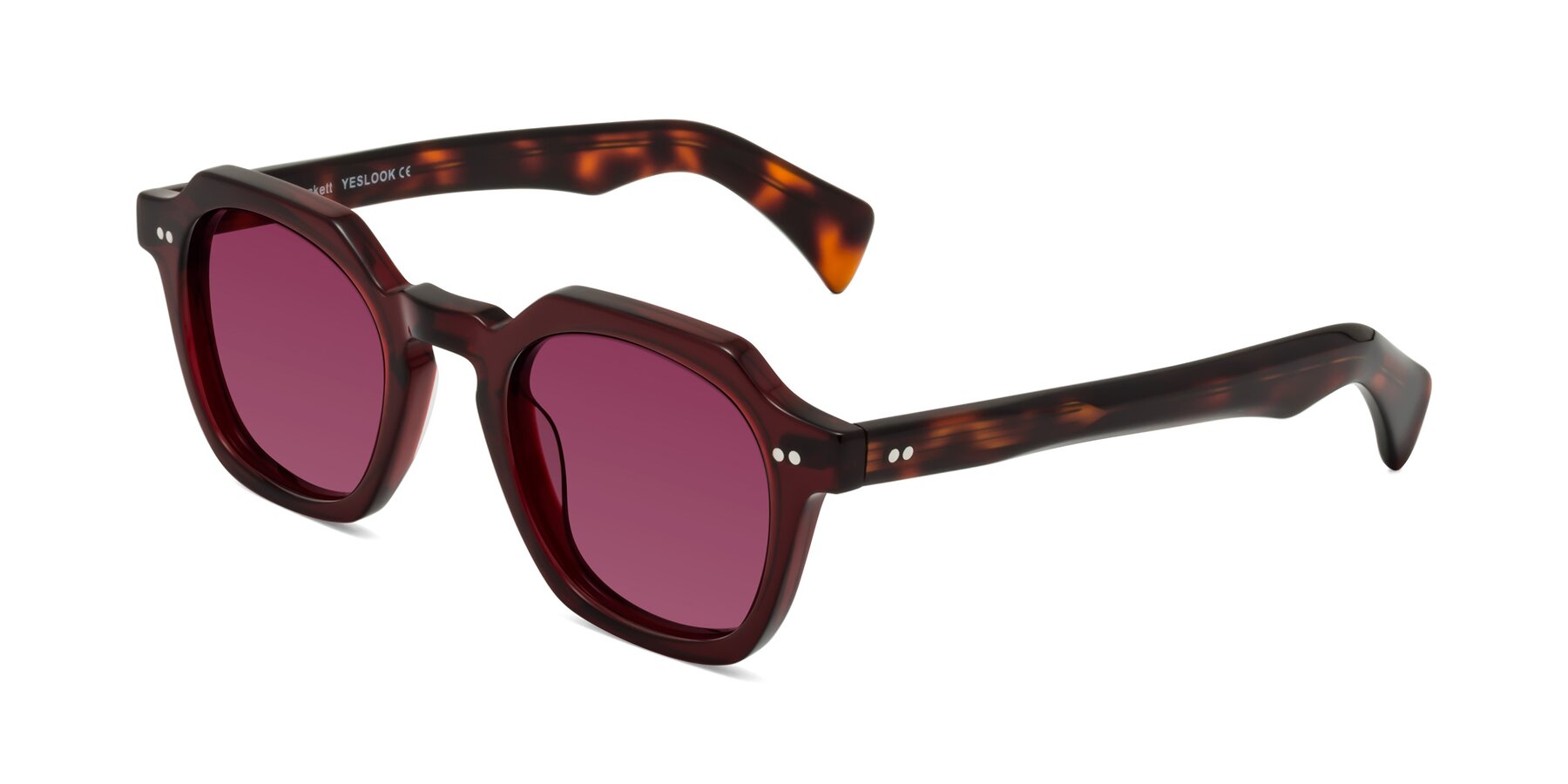 Angle of Beckett in Wine/Tortoise with Wine Tinted Lenses