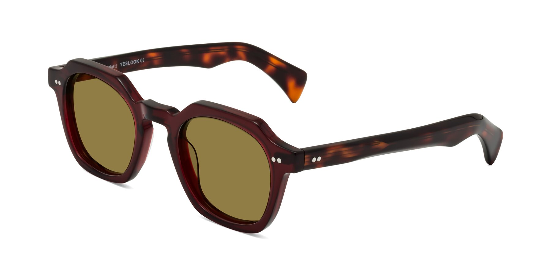 Angle of Beckett in Wine/Tortoise with Brown Polarized Lenses