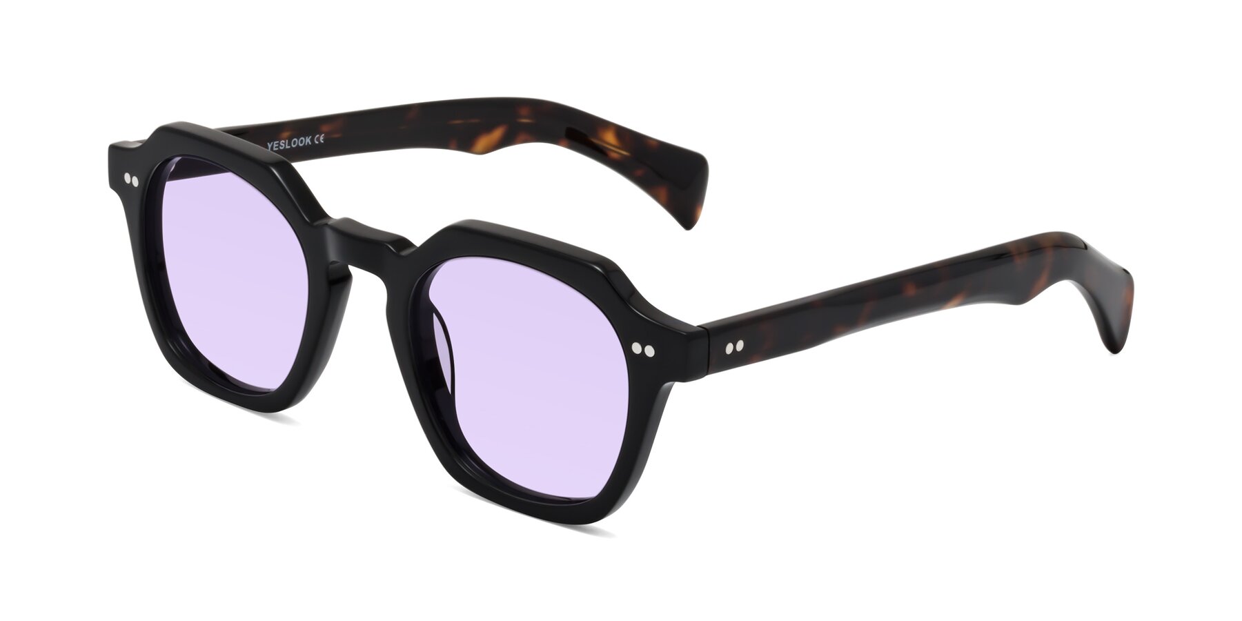 Angle of Beckett in Black/Tortoise with Light Purple Tinted Lenses