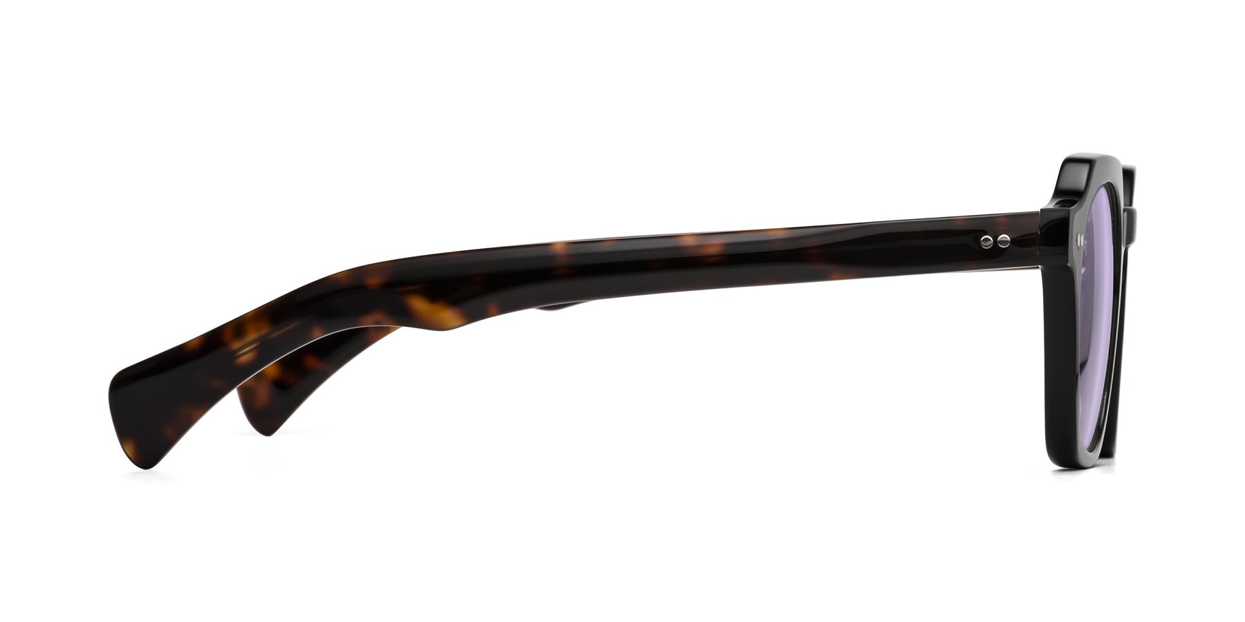 Side of Beckett in Black/Tortoise with Light Purple Tinted Lenses