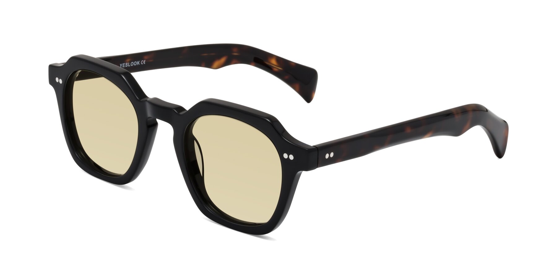 Angle of Beckett in Black/Tortoise with Light Champagne Tinted Lenses