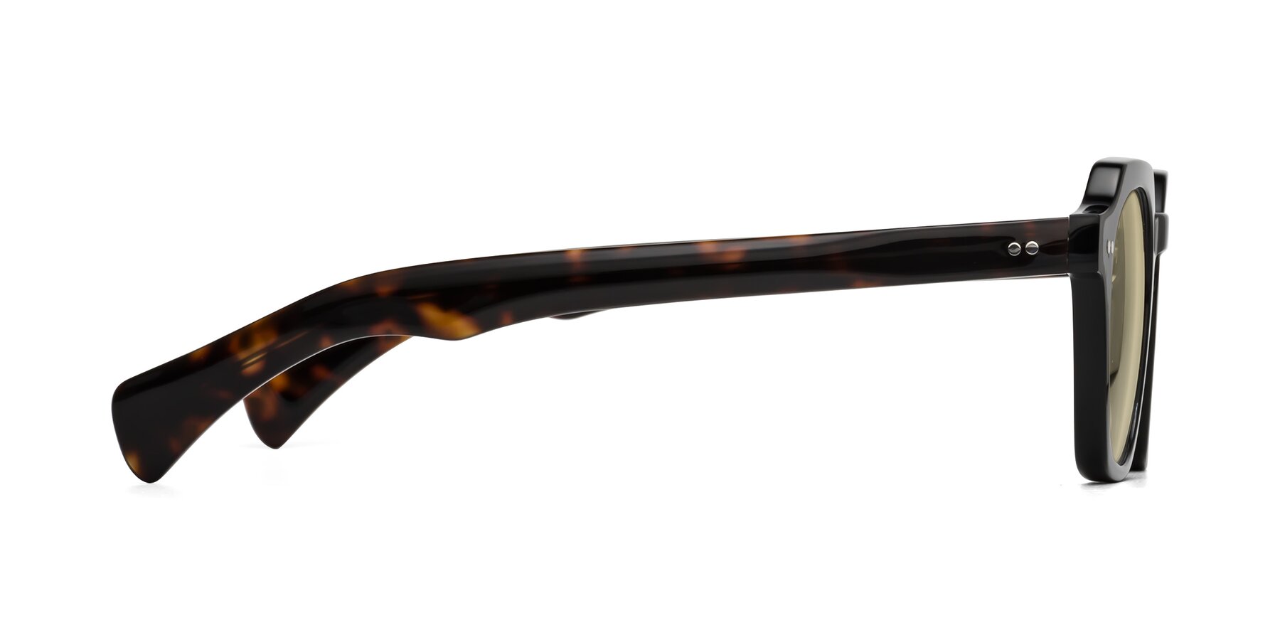 Side of Beckett in Black/Tortoise with Light Champagne Tinted Lenses