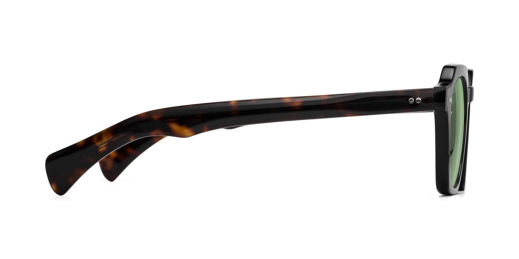 Side of Beckett in Black/Tortoise with Medium Green Tinted Lenses