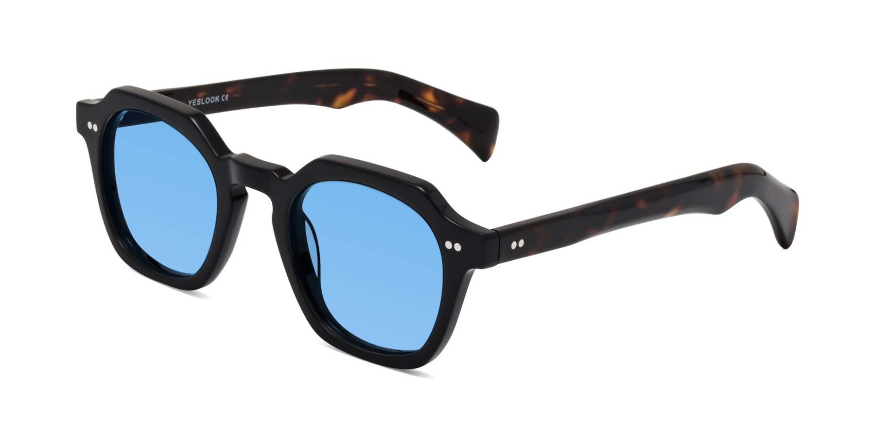 Angle of Beckett in Black/Tortoise with Medium Blue Tinted Lenses