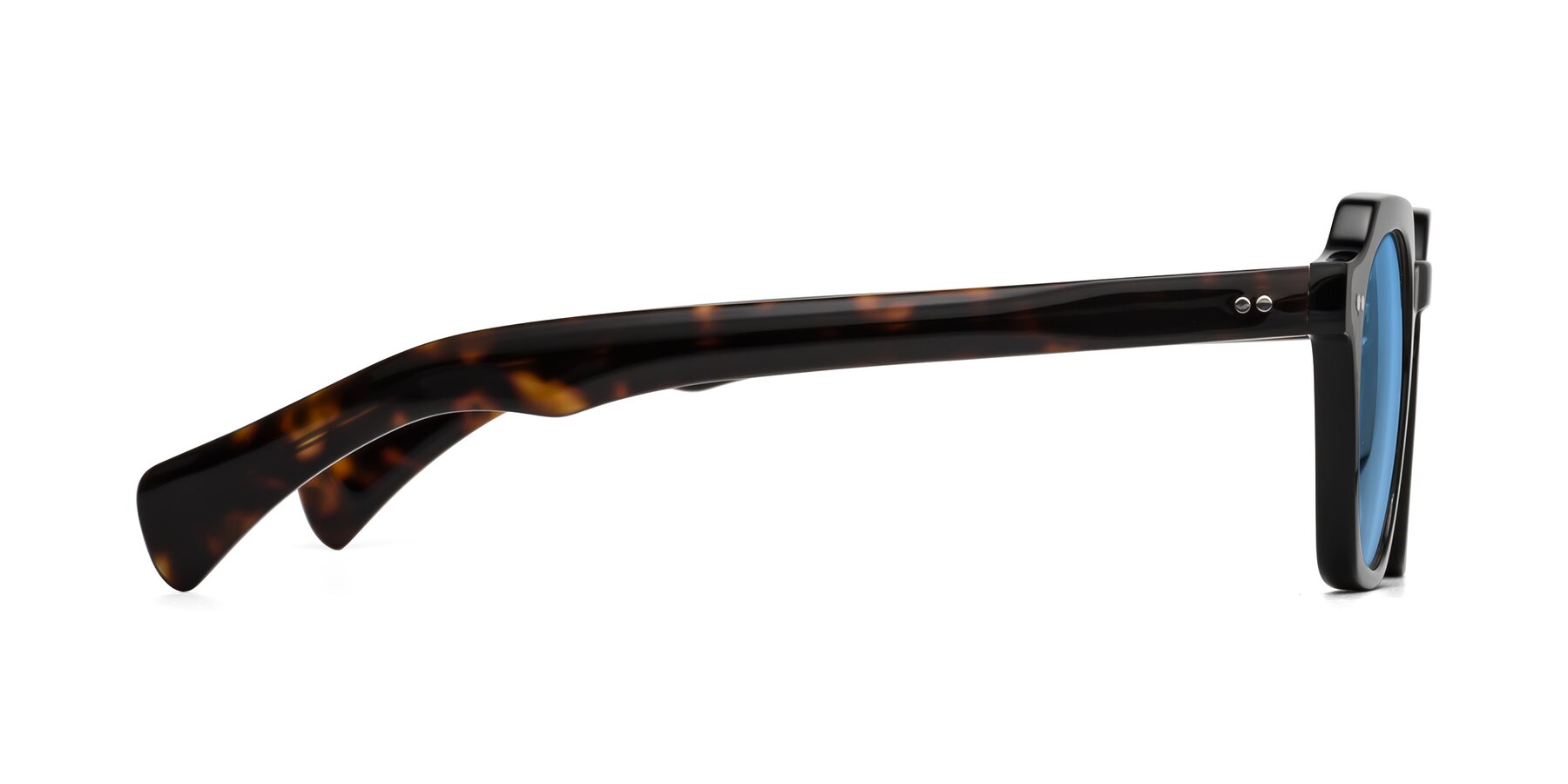Side of Beckett in Black/Tortoise with Medium Blue Tinted Lenses