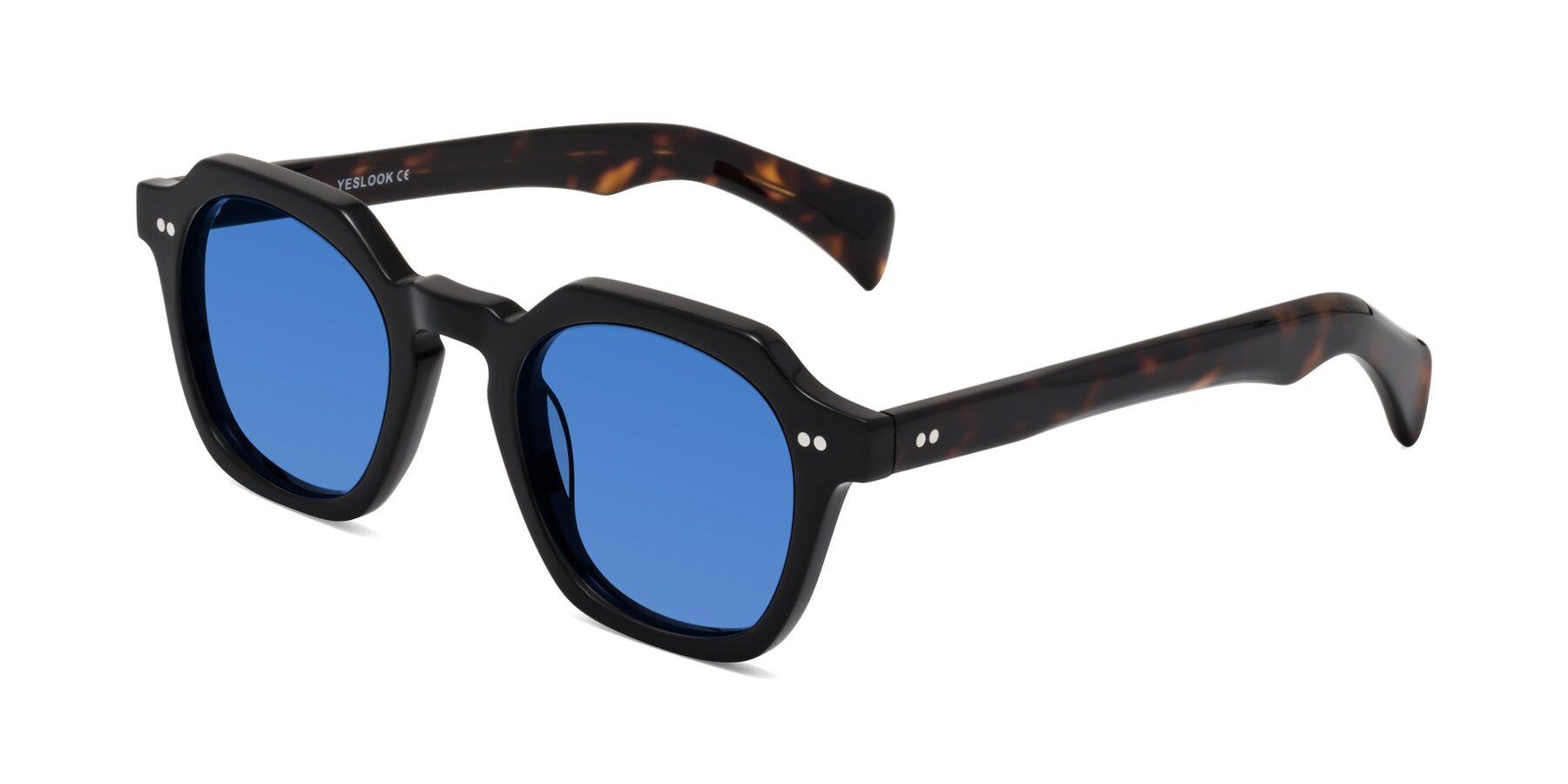 Angle of Beckett in Black/Tortoise with Blue Tinted Lenses
