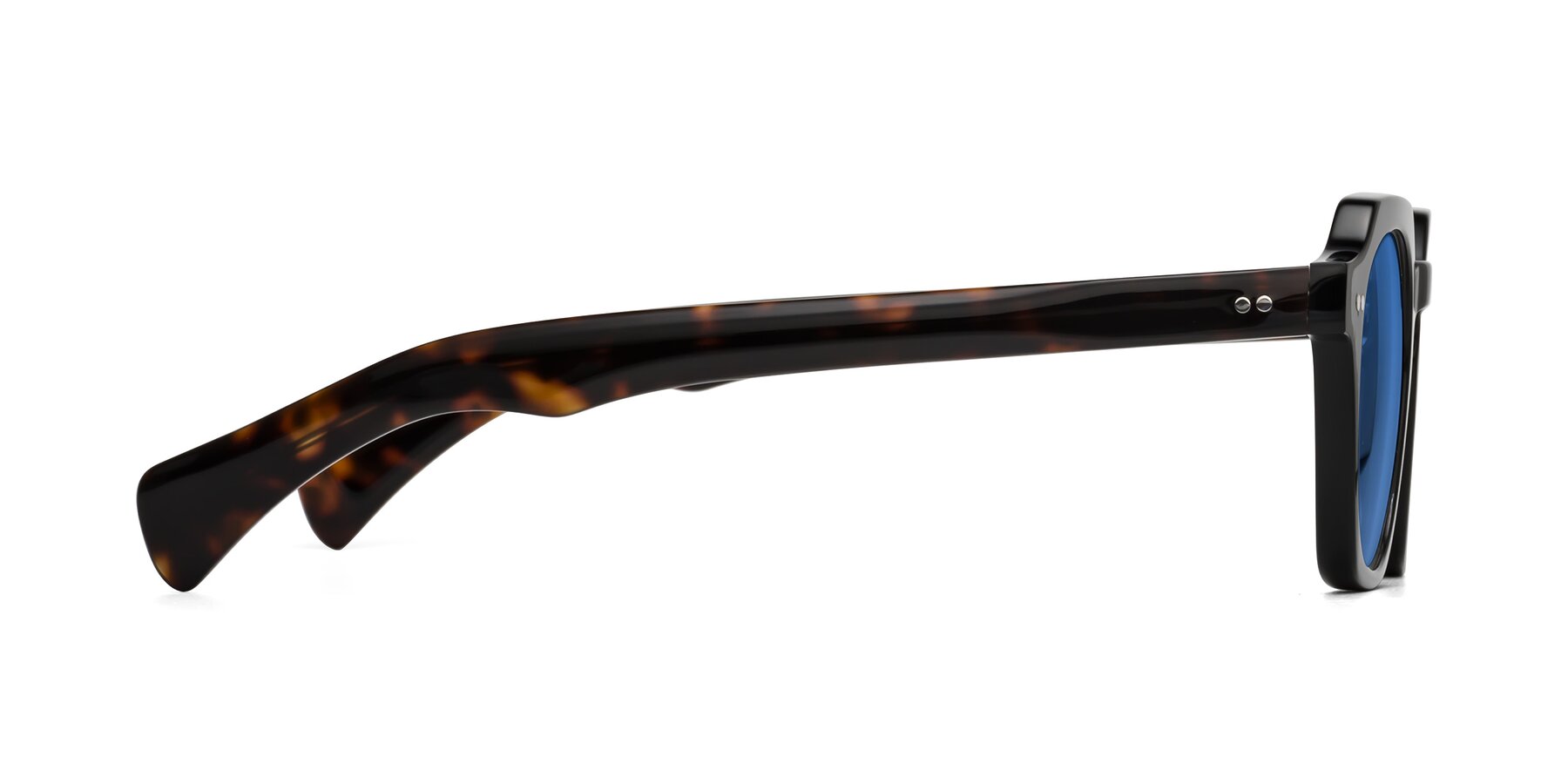 Side of Beckett in Black/Tortoise with Blue Tinted Lenses