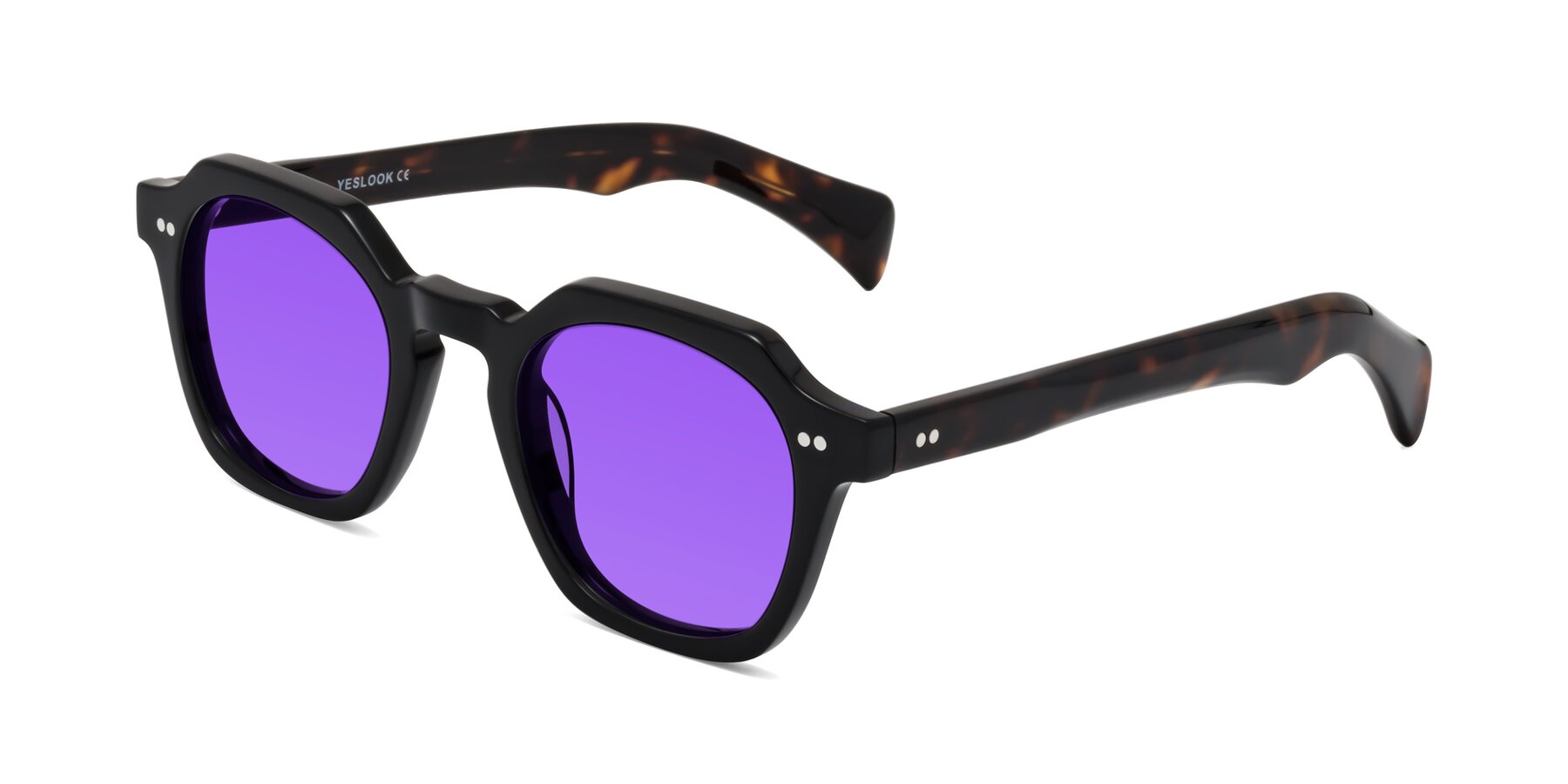 Angle of Beckett in Black/Tortoise with Purple Tinted Lenses