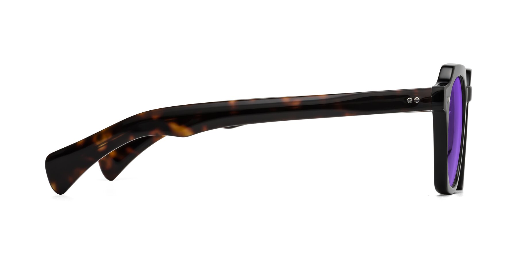 Side of Beckett in Black/Tortoise with Purple Tinted Lenses