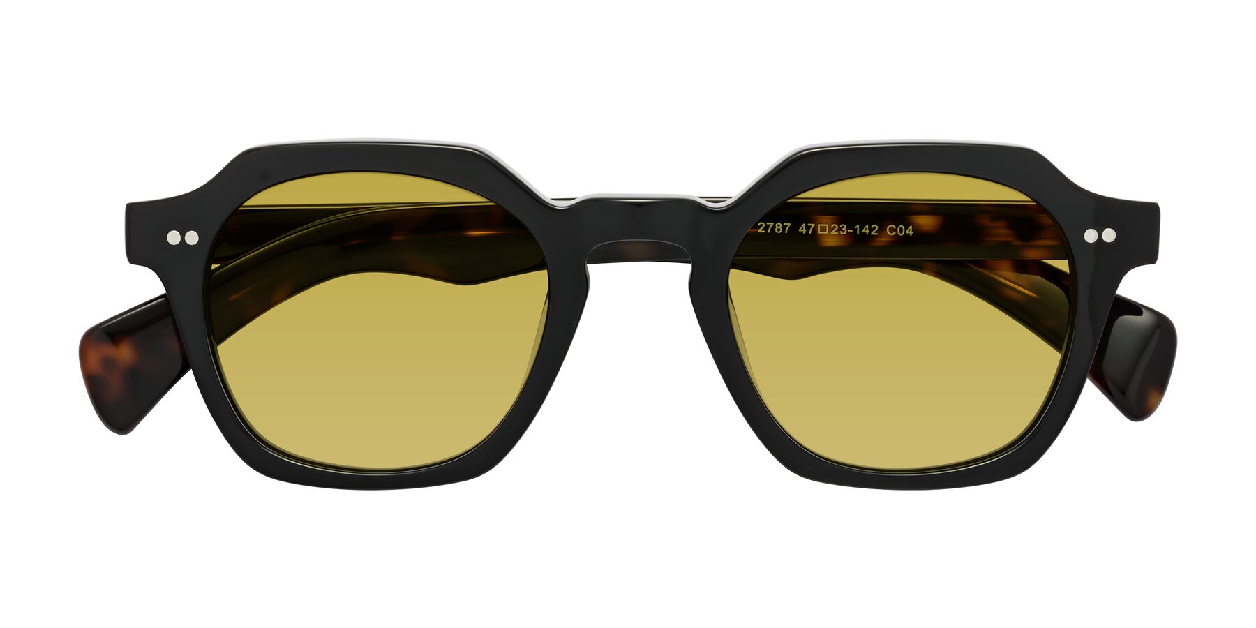 Folded Front of Beckett in Black/Tortoise with Champagne Tinted Lenses