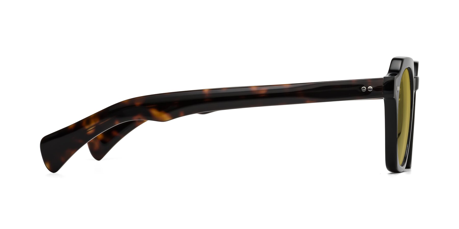 Side of Beckett in Black/Tortoise with Champagne Tinted Lenses