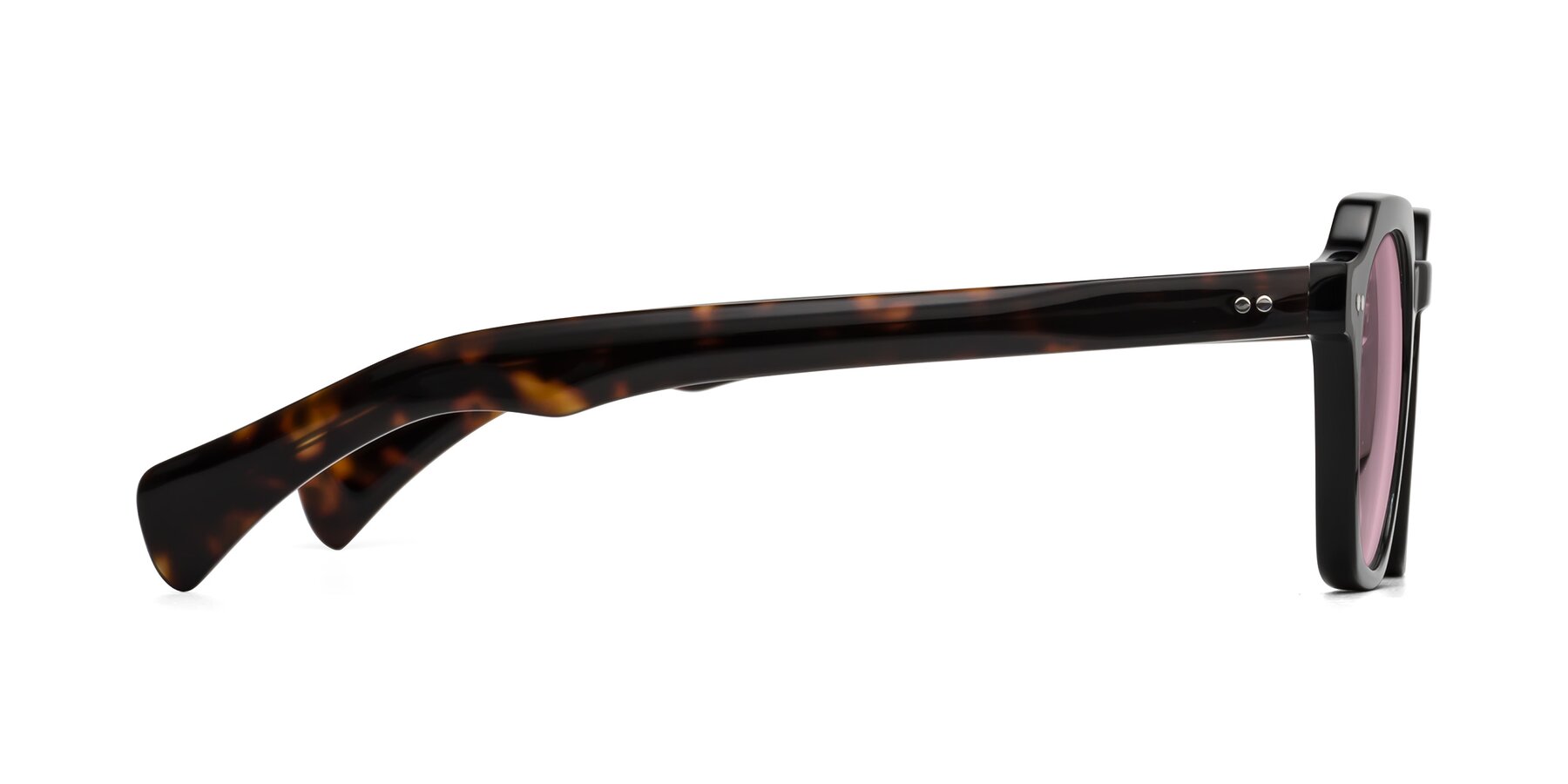 Side of Beckett in Black/Tortoise with Light Wine Tinted Lenses