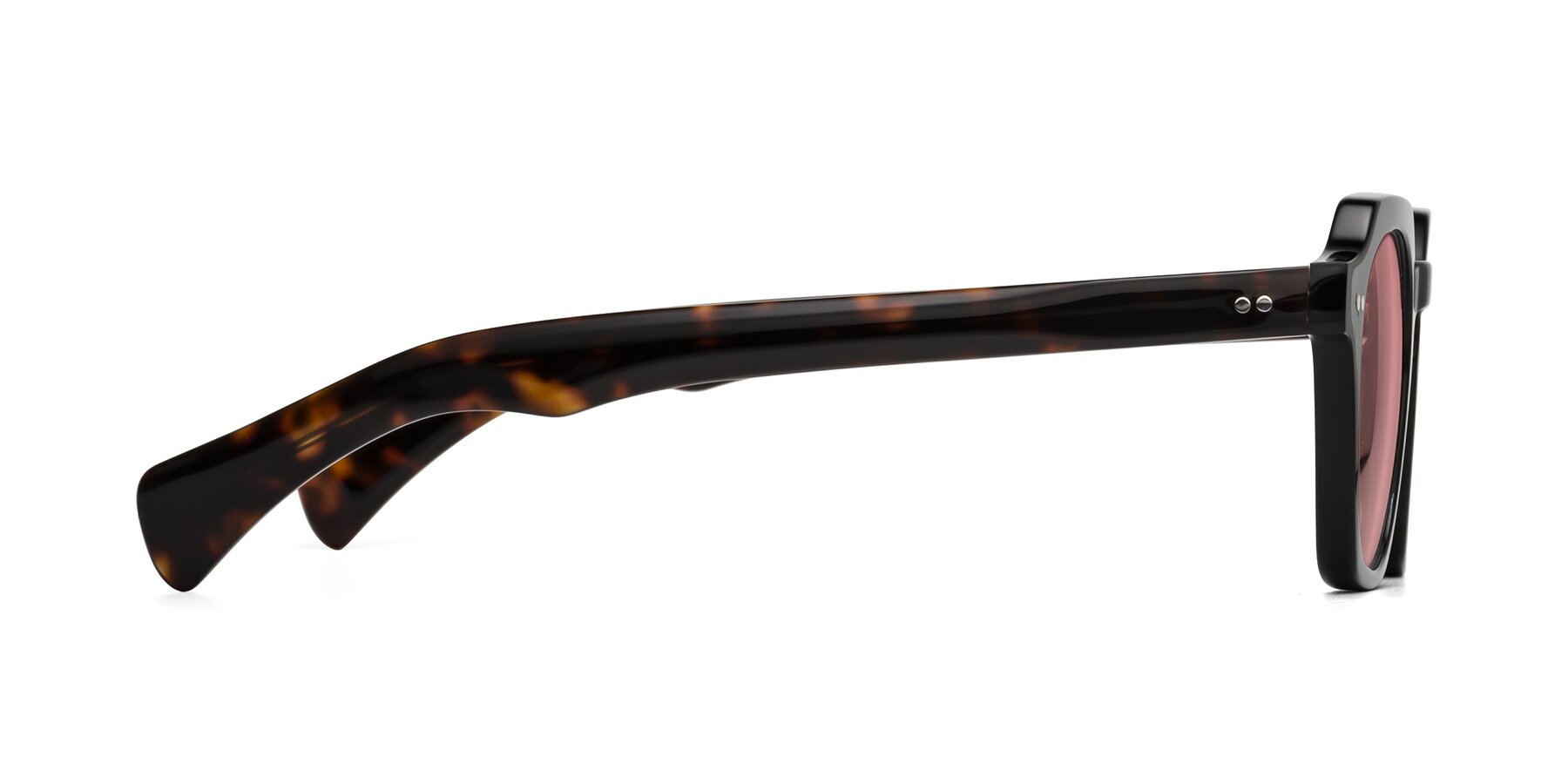 Side of Beckett in Black/Tortoise with Medium Garnet Tinted Lenses