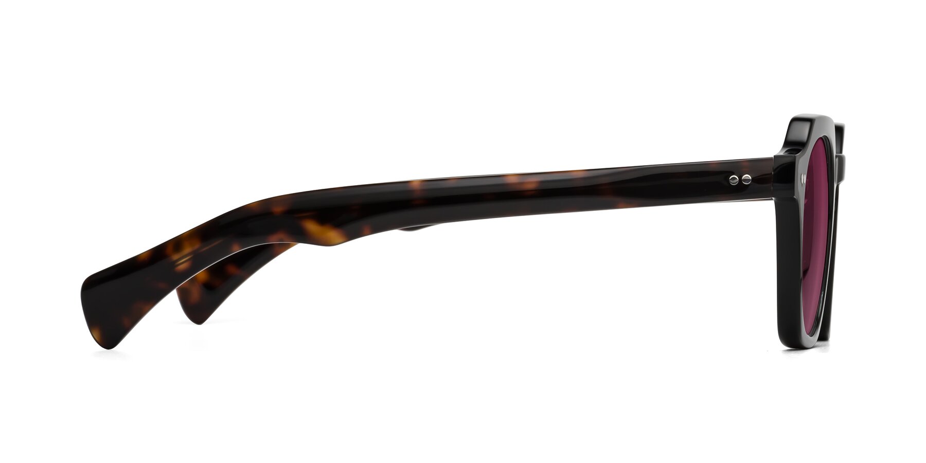 Side of Beckett in Black/Tortoise with Wine Tinted Lenses