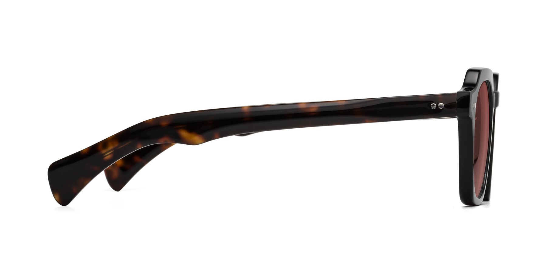 Side of Beckett in Black/Tortoise with Garnet Tinted Lenses