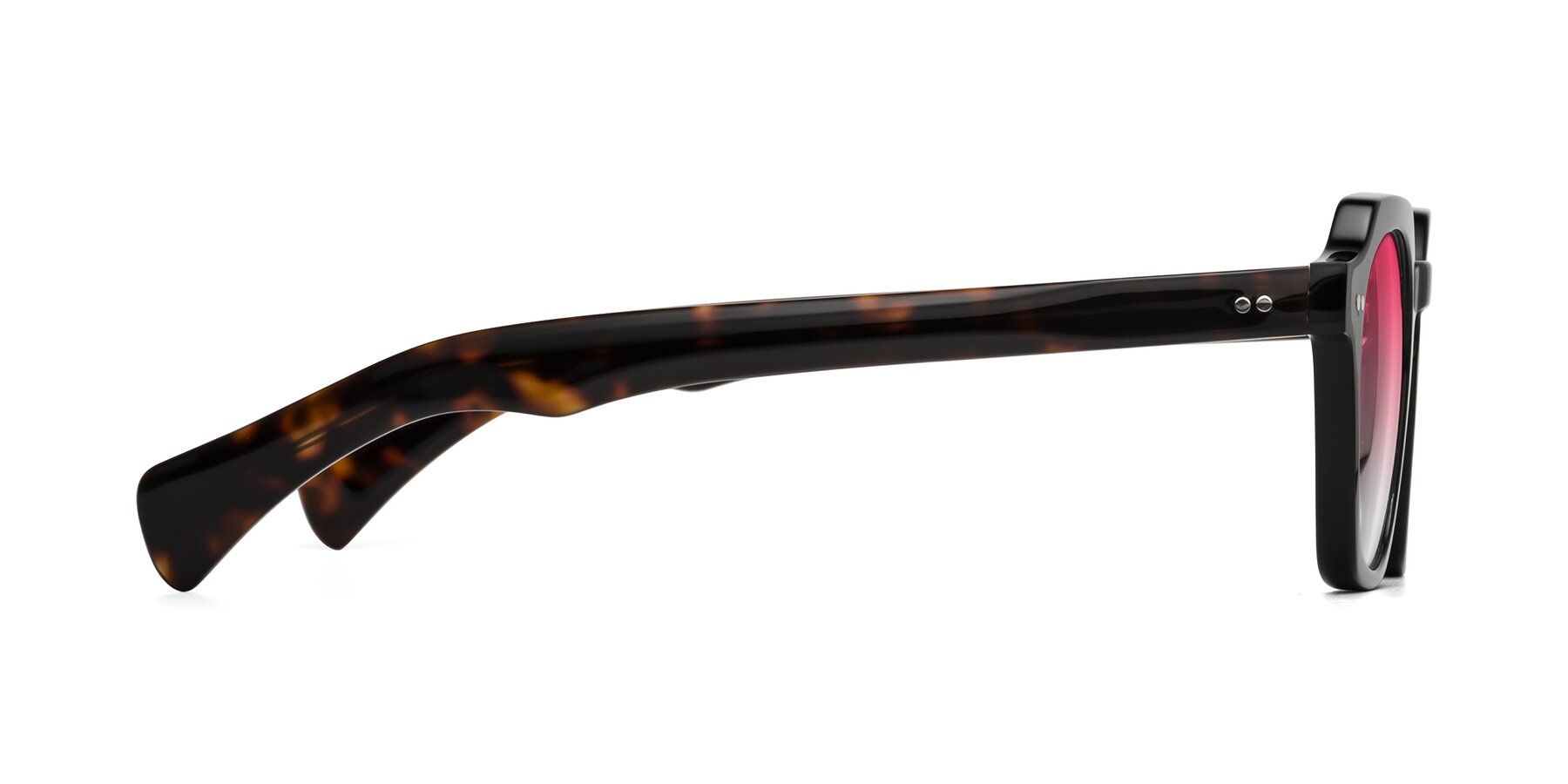 Side of Beckett in Black/Tortoise with Pink Gradient Lenses