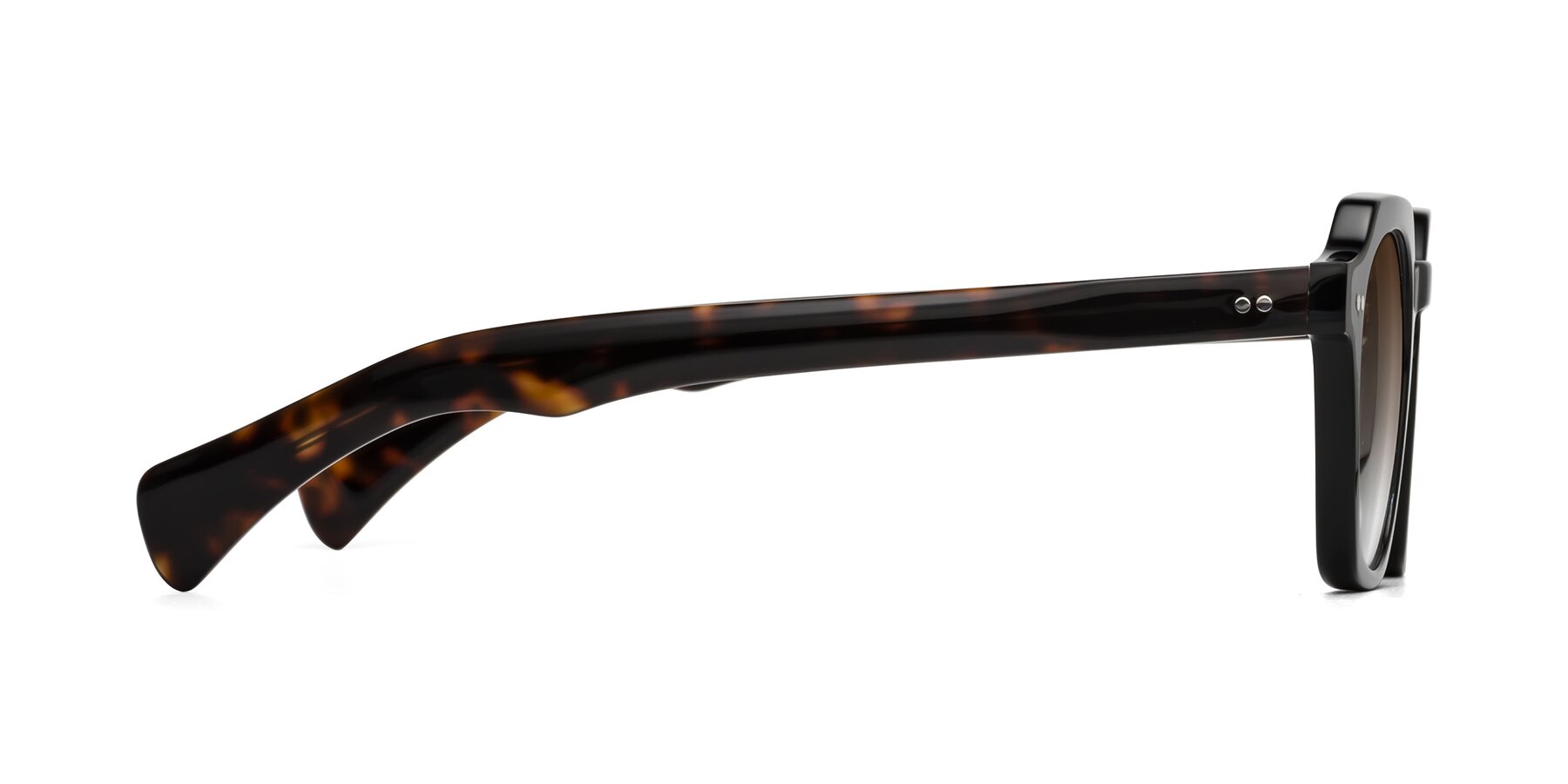 Side of Beckett in Black/Tortoise with Brown Gradient Lenses