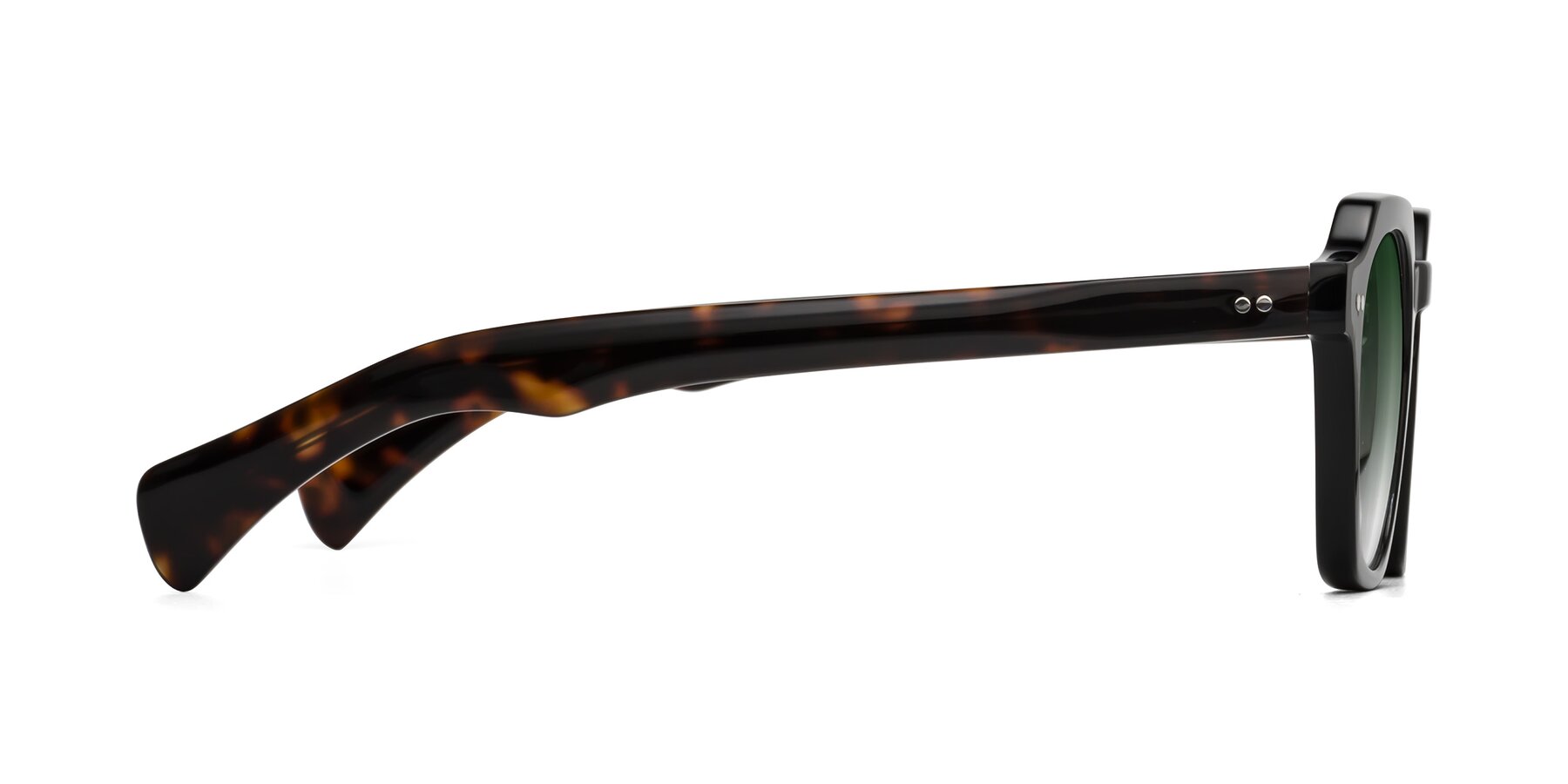 Side of Beckett in Black/Tortoise with Green Gradient Lenses