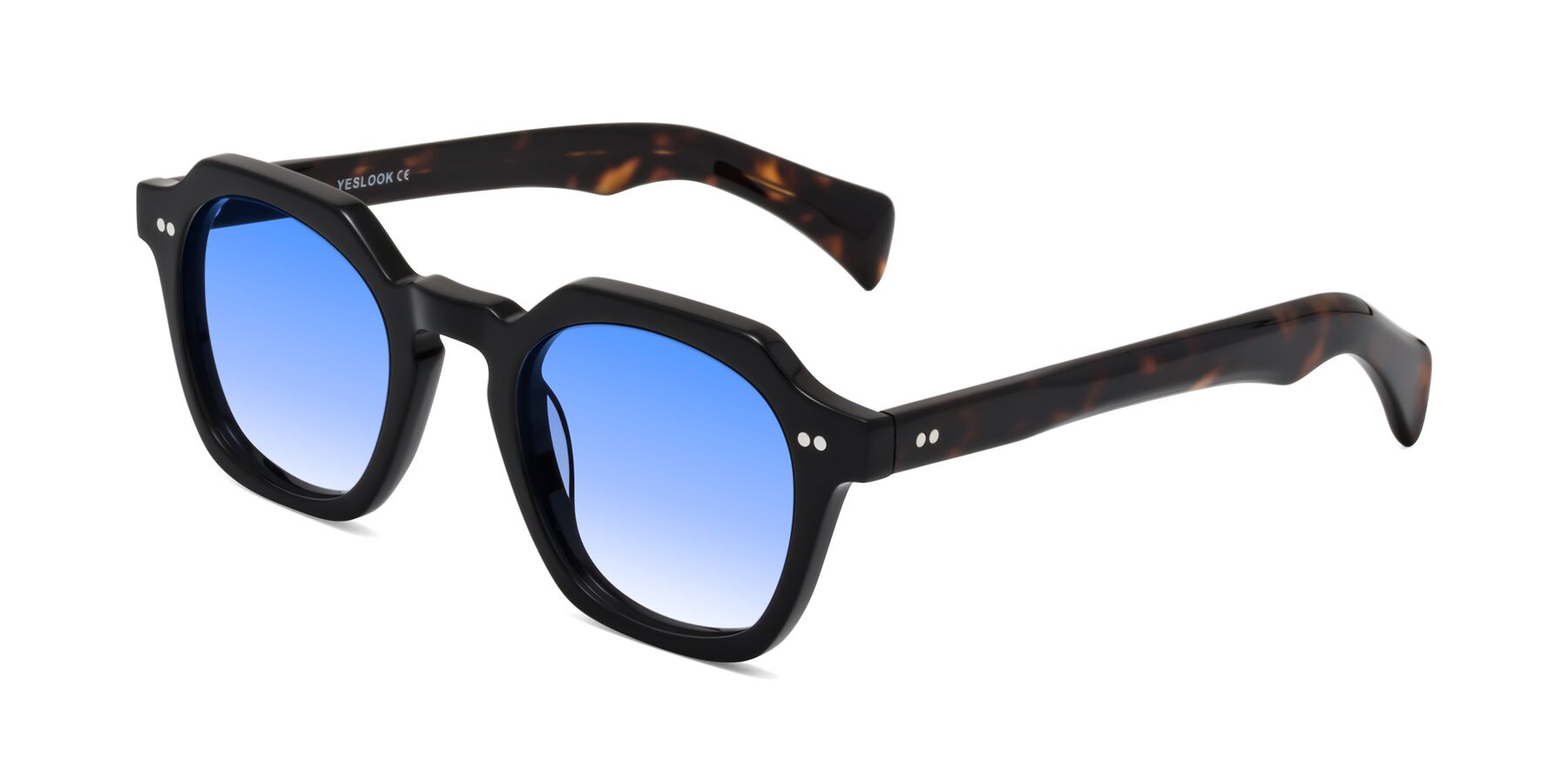 Angle of Beckett in Black/Tortoise with Blue Gradient Lenses