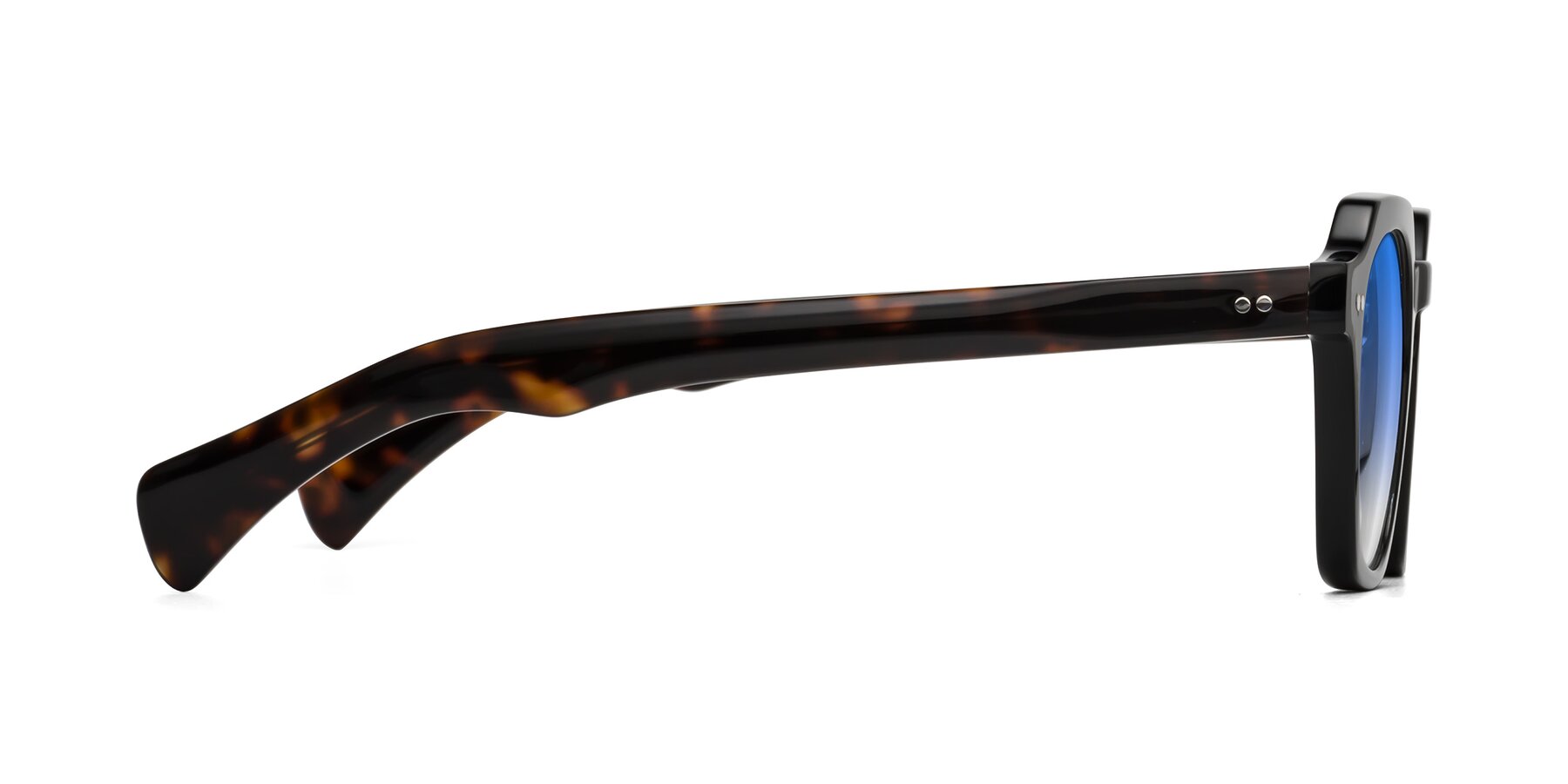 Side of Beckett in Black/Tortoise with Blue Gradient Lenses