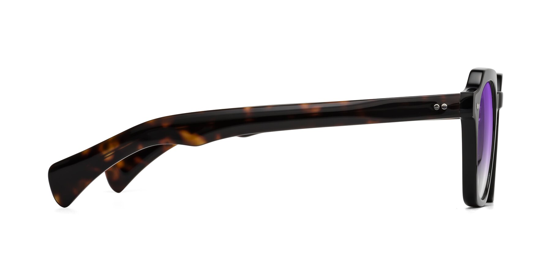 Side of Beckett in Black/Tortoise with Purple Gradient Lenses