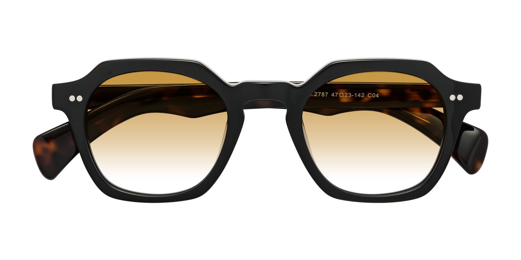 Folded Front of Beckett in Black/Tortoise with Champagne Gradient Lenses