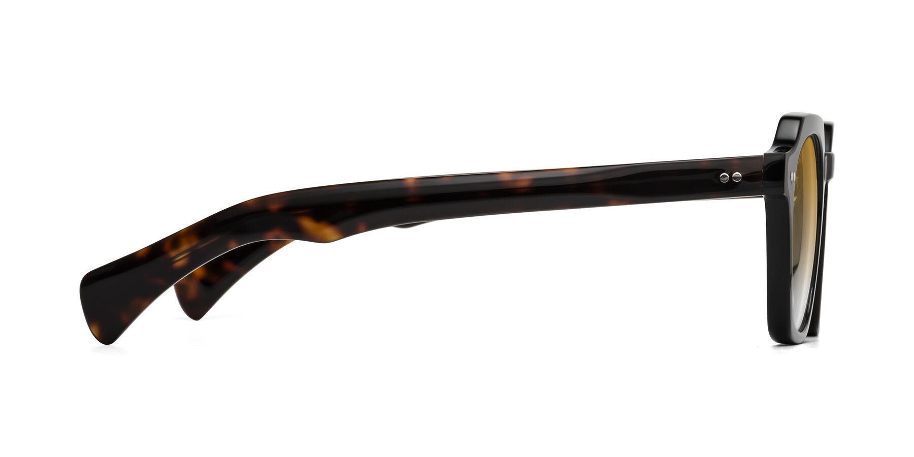 Side of Beckett in Black/Tortoise with Champagne Gradient Lenses