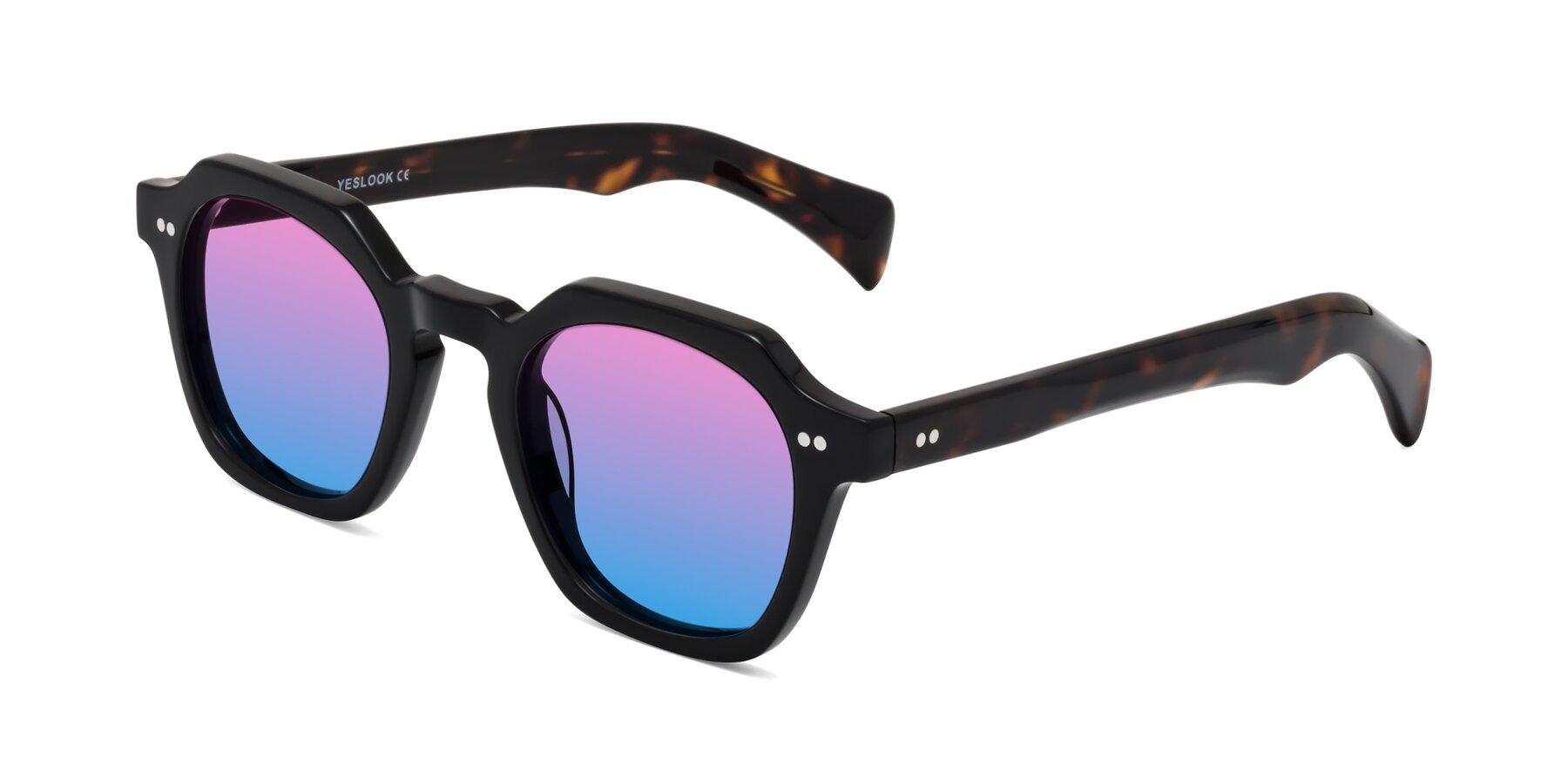 Angle of Beckett in Black/Tortoise with Pink / Blue Gradient Lenses