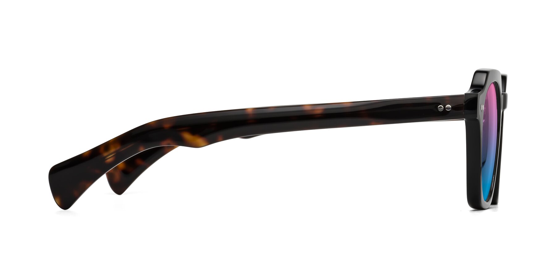 Side of Beckett in Black/Tortoise with Pink / Blue Gradient Lenses