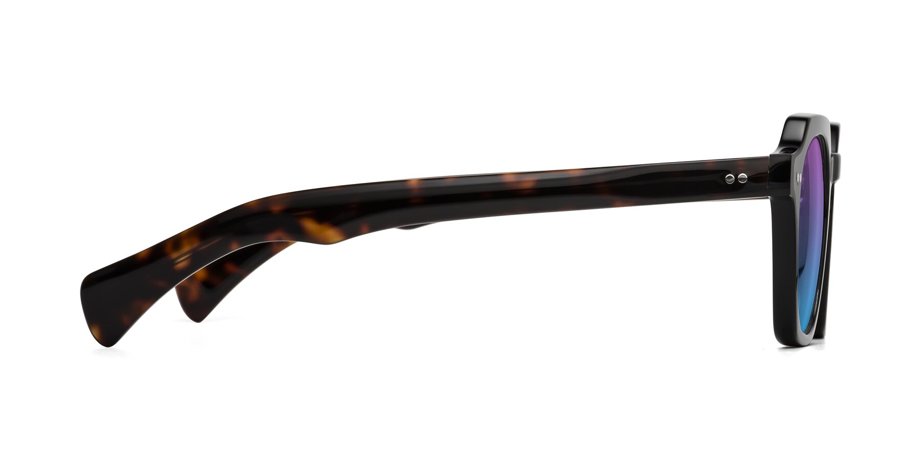 Side of Beckett in Black/Tortoise with Purple / Blue Gradient Lenses