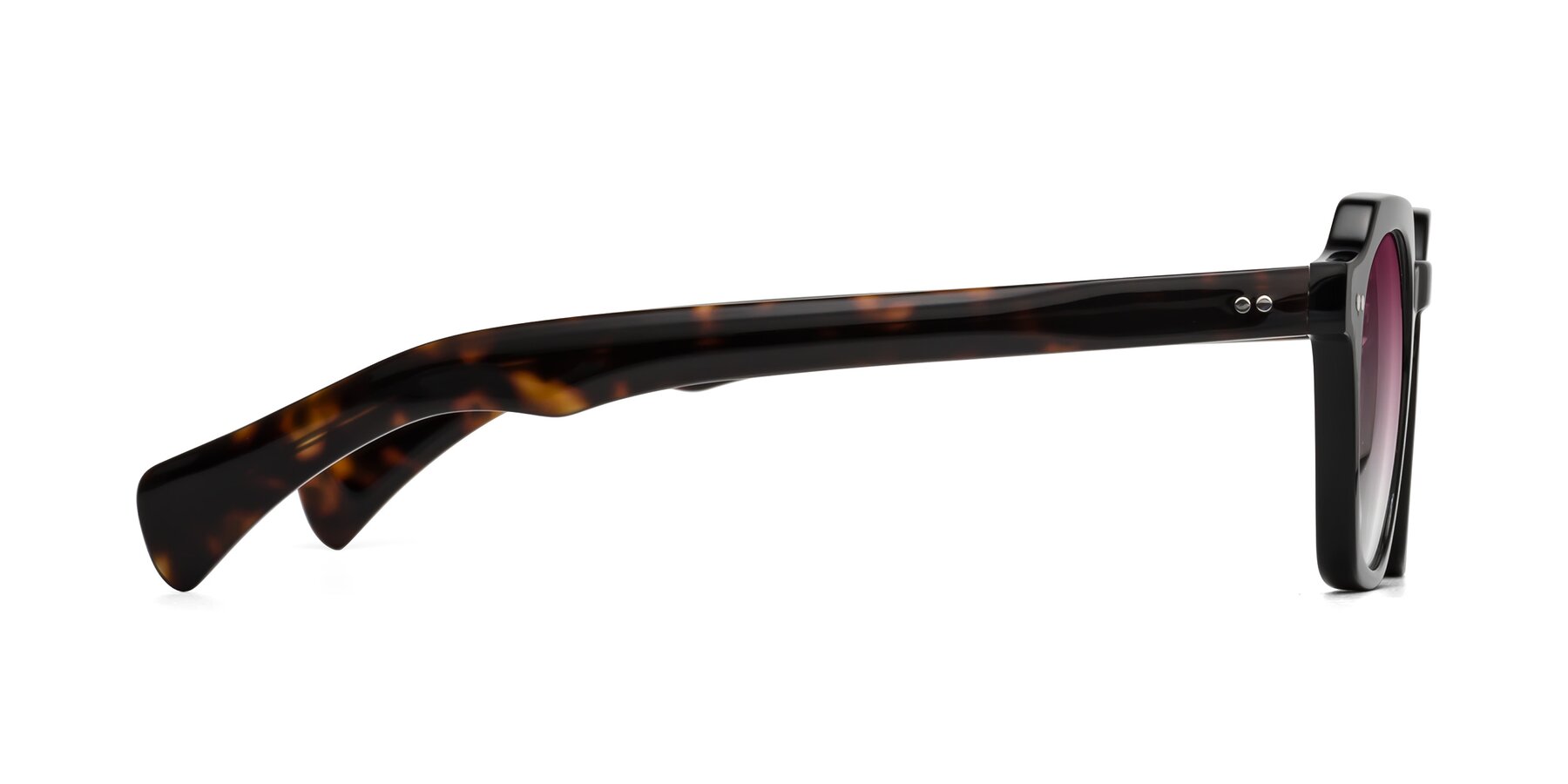 Side of Beckett in Black/Tortoise with Wine Gradient Lenses