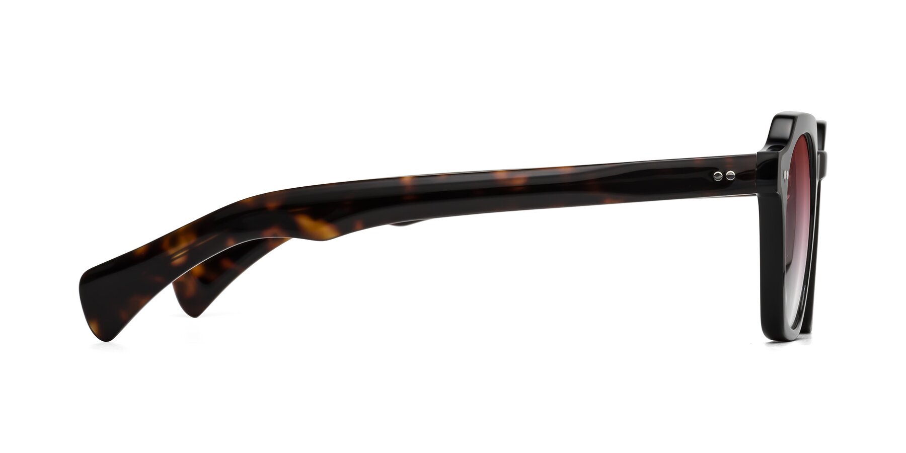 Side of Beckett in Black/Tortoise with Garnet Gradient Lenses