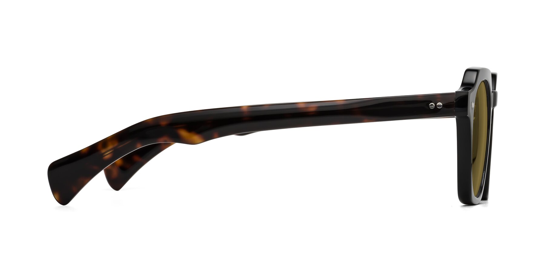 Side of Beckett in Black/Tortoise with Brown Polarized Lenses