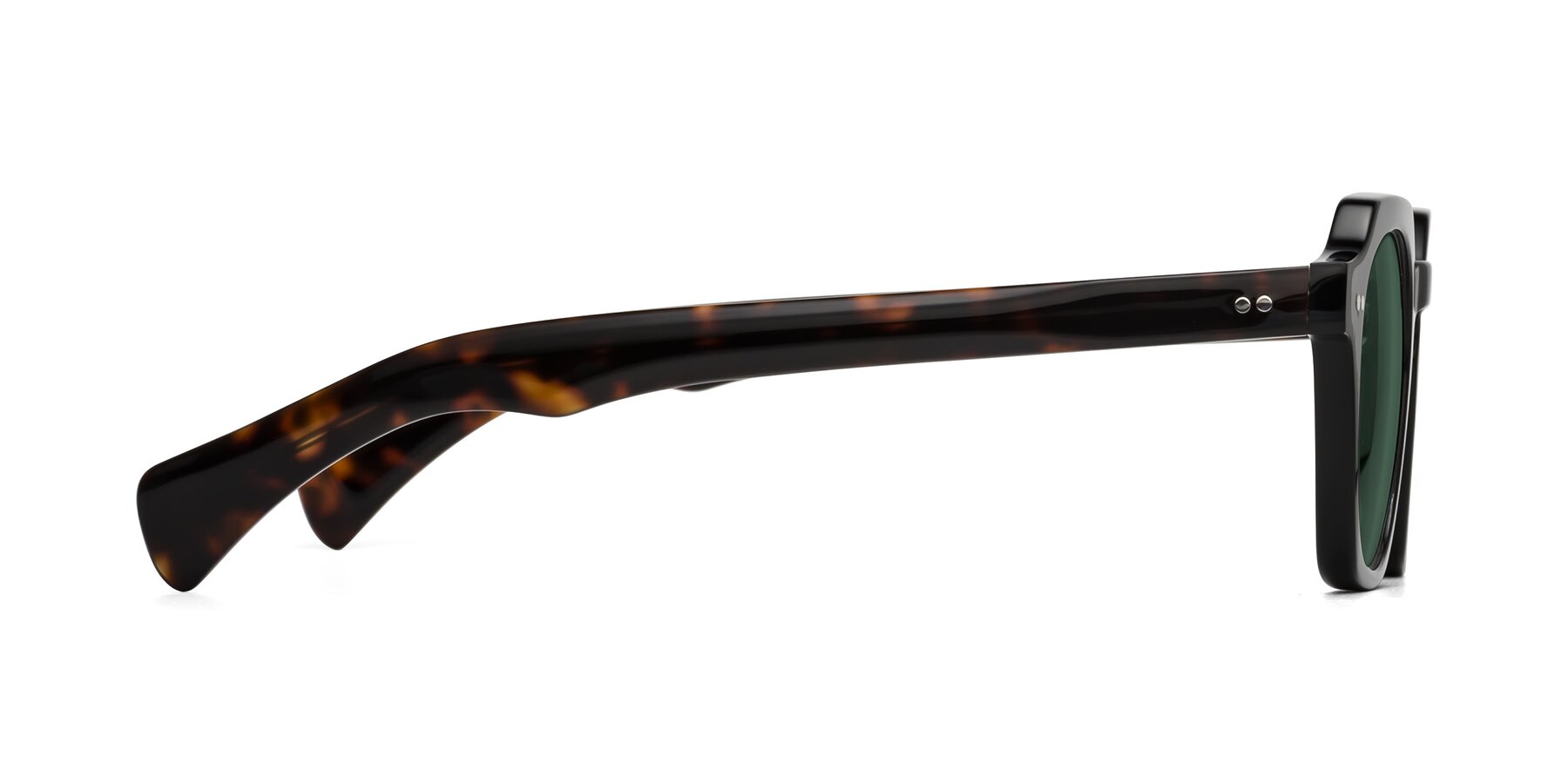 Side of Beckett in Black/Tortoise with Green Polarized Lenses