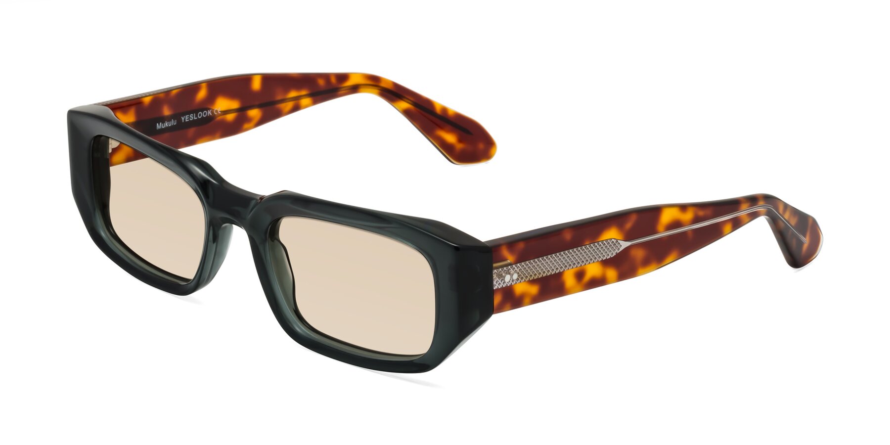 Angle of Mukulu in Dark Slate Gray/Tortoise with Light Brown Tinted Lenses