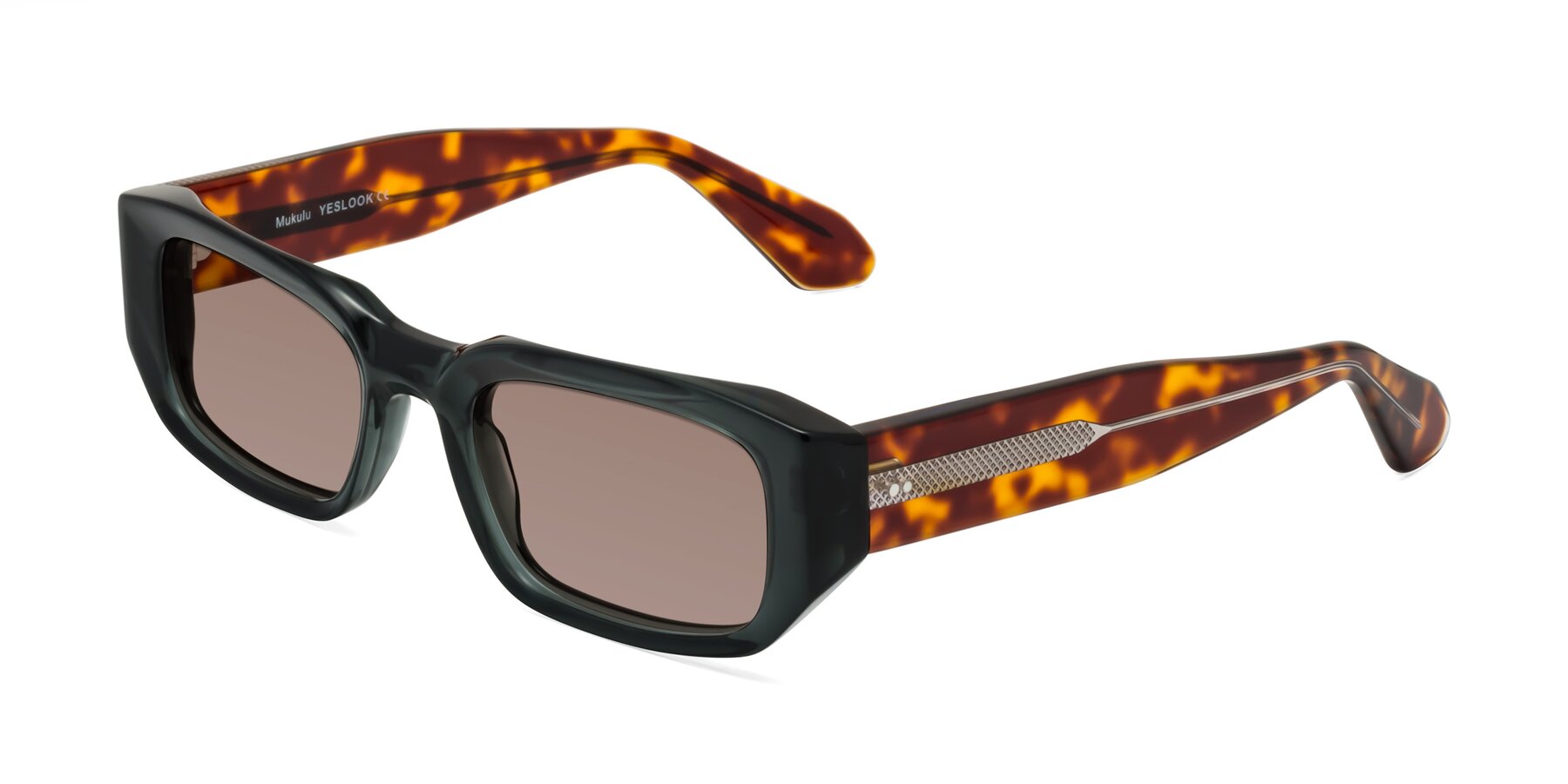 Angle of Mukulu in Dark Slate Gray/Tortoise with Medium Brown Tinted Lenses